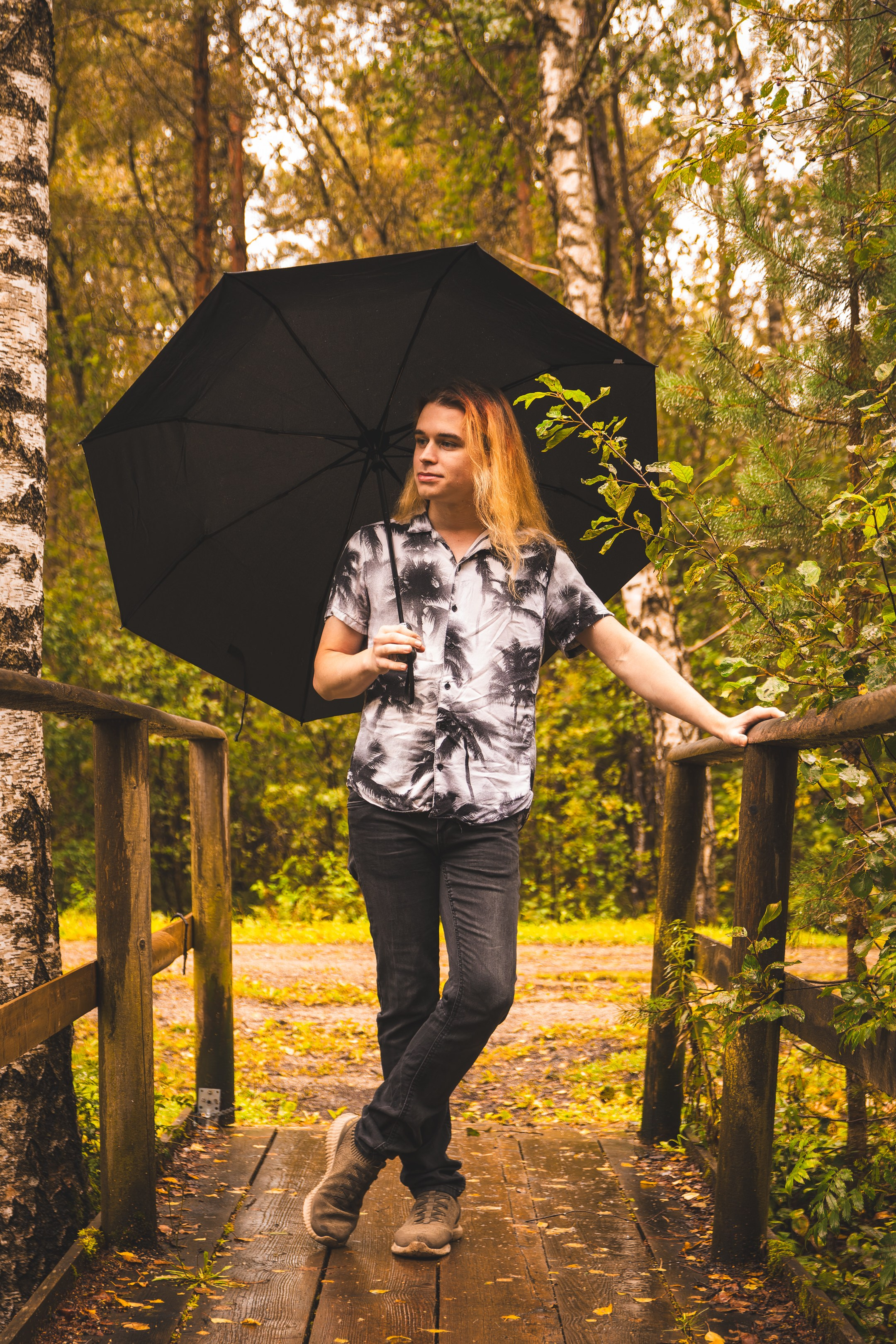 Mets, vihm ja jahedus (Dimitry). Nebula 25 — Fotod teie hingele