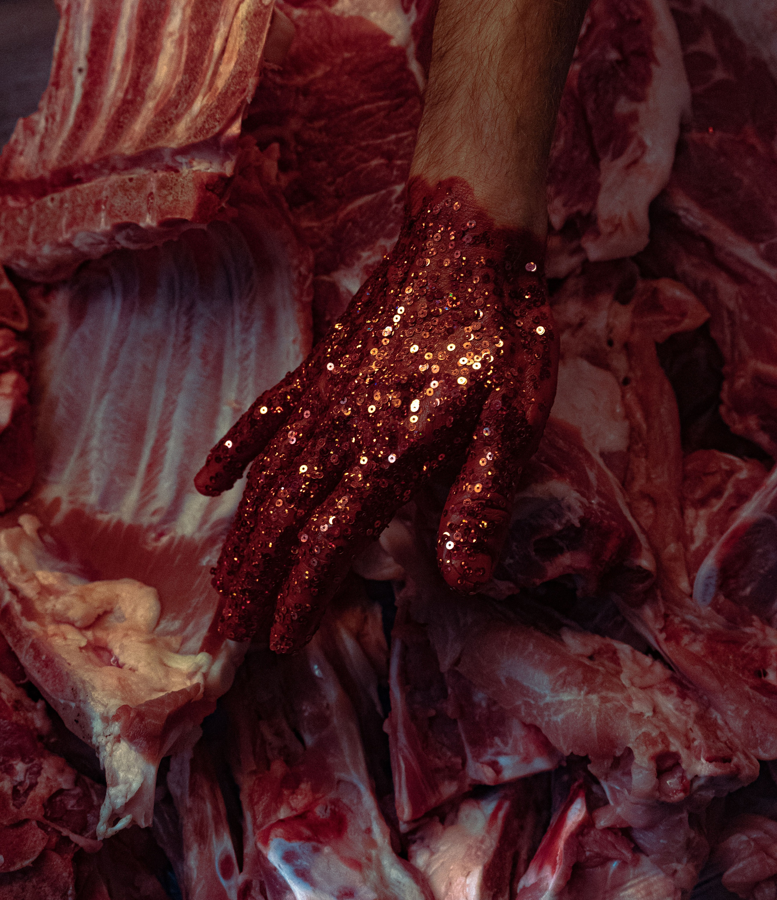 MUSIC VIDEOS. Kate Sergeeva photographer in Barcelona