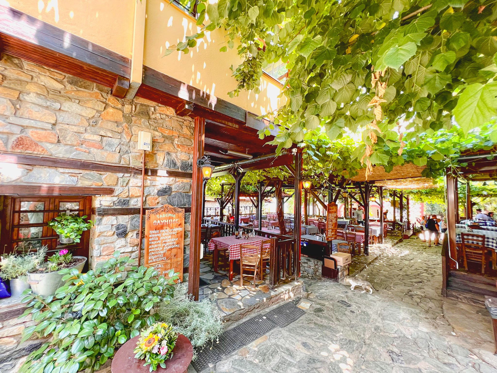 Fotografie urbana. Daniel Criste Fotograf