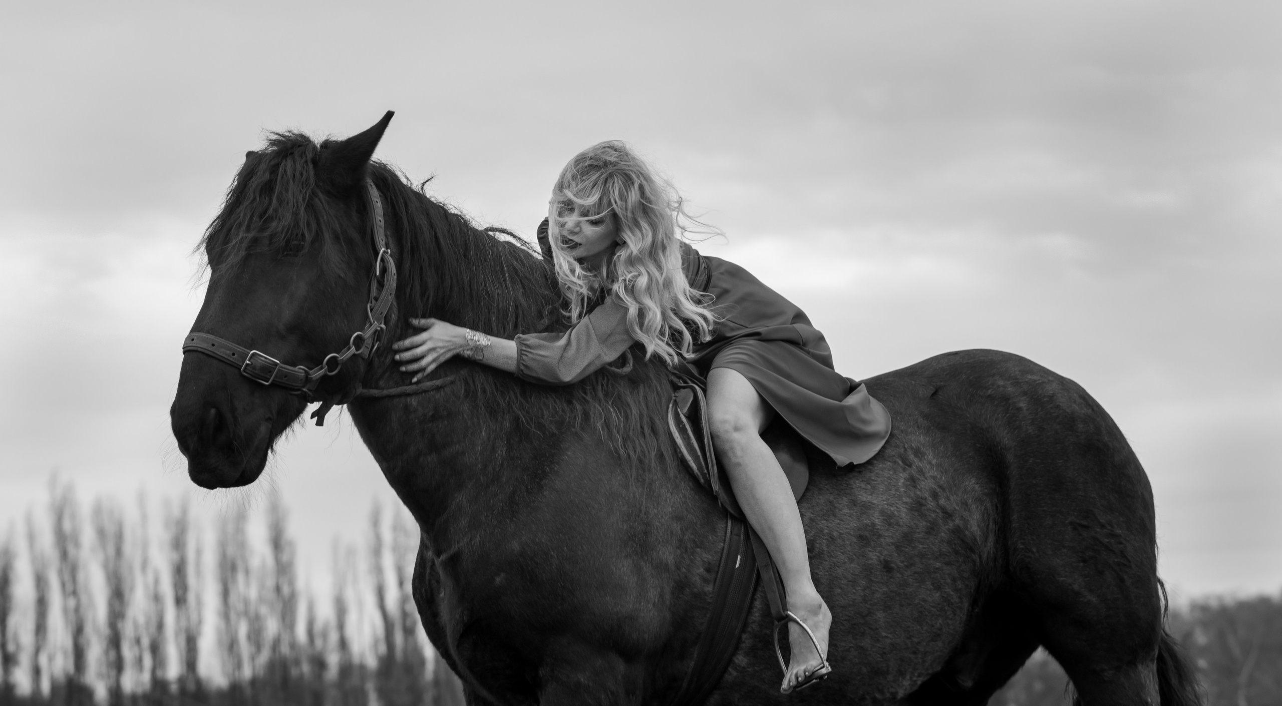 Photoshoot with Horses. Professional Photograher, Antwerpen/Belgium