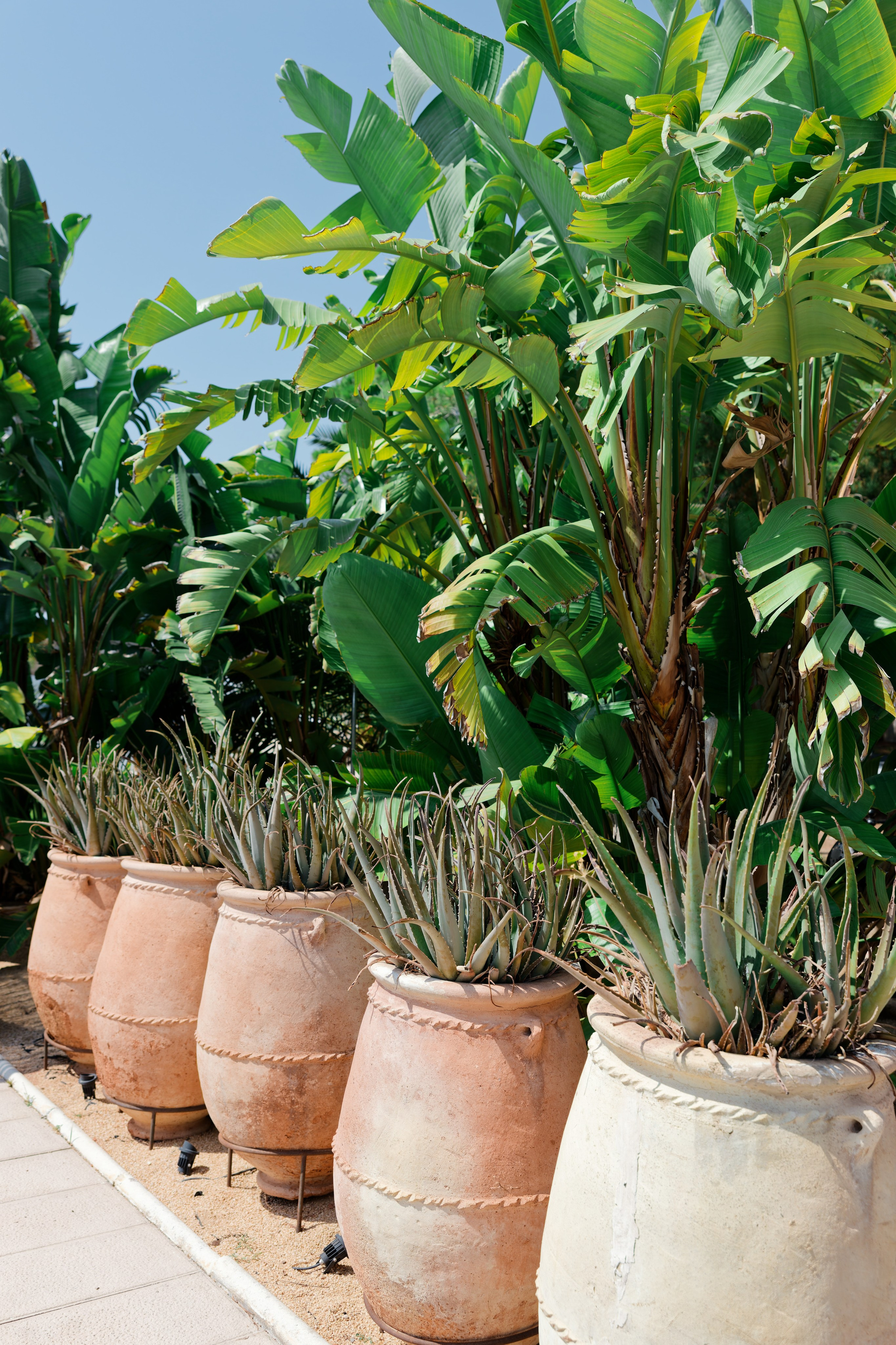 Indian wedding at Gran Villa Rosa, Barcelona