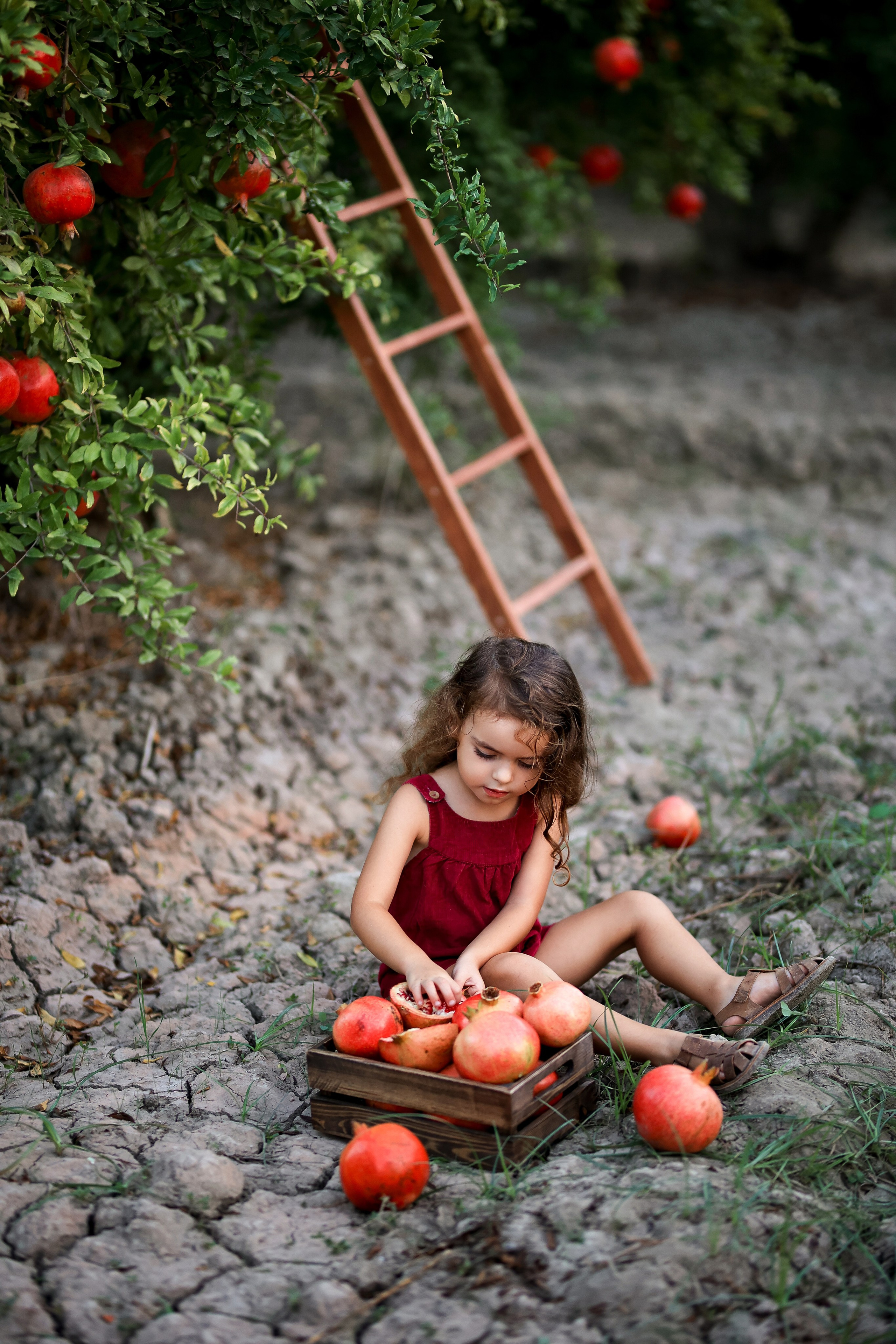 Photoshooting in pomegranate garden. Photographer in Turkey, Antalya, Kemer, Belek, Side, Kas, Fethiye