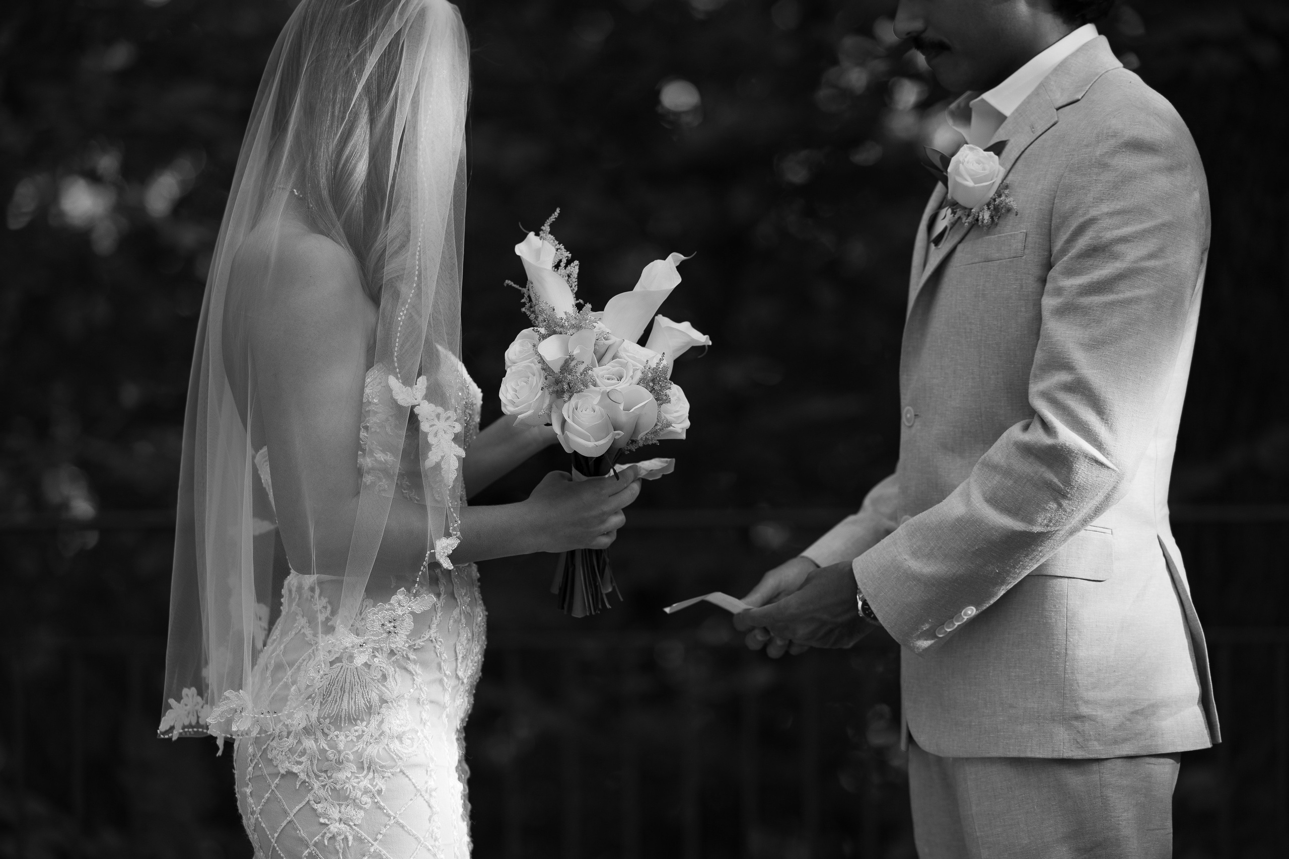 Nina and Arjun. Intimate Elopement in Washington DC. Photographer Anastasia Nagibina