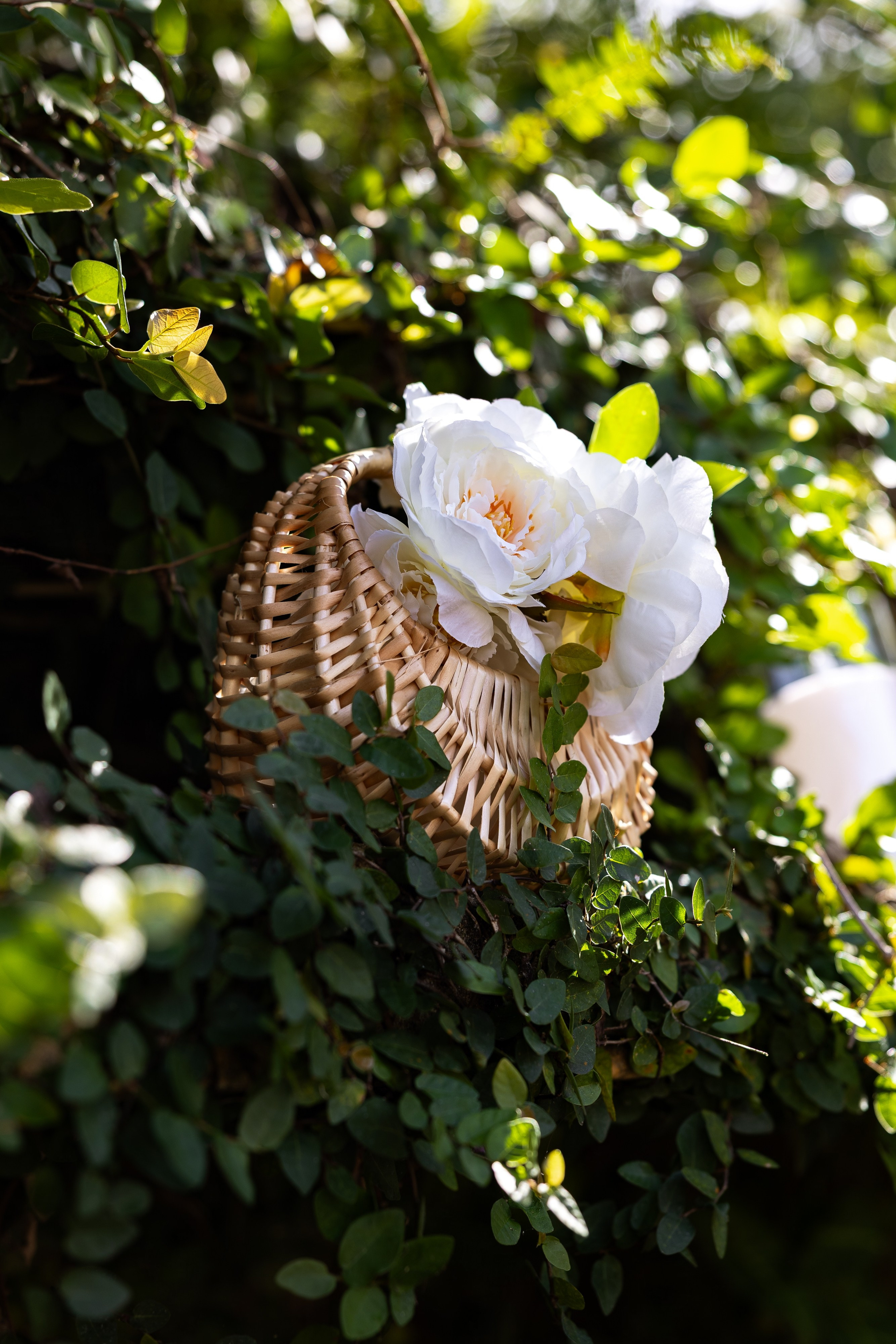 Eunice and RJ. Orlando. Photographer Anastasia Nagibina