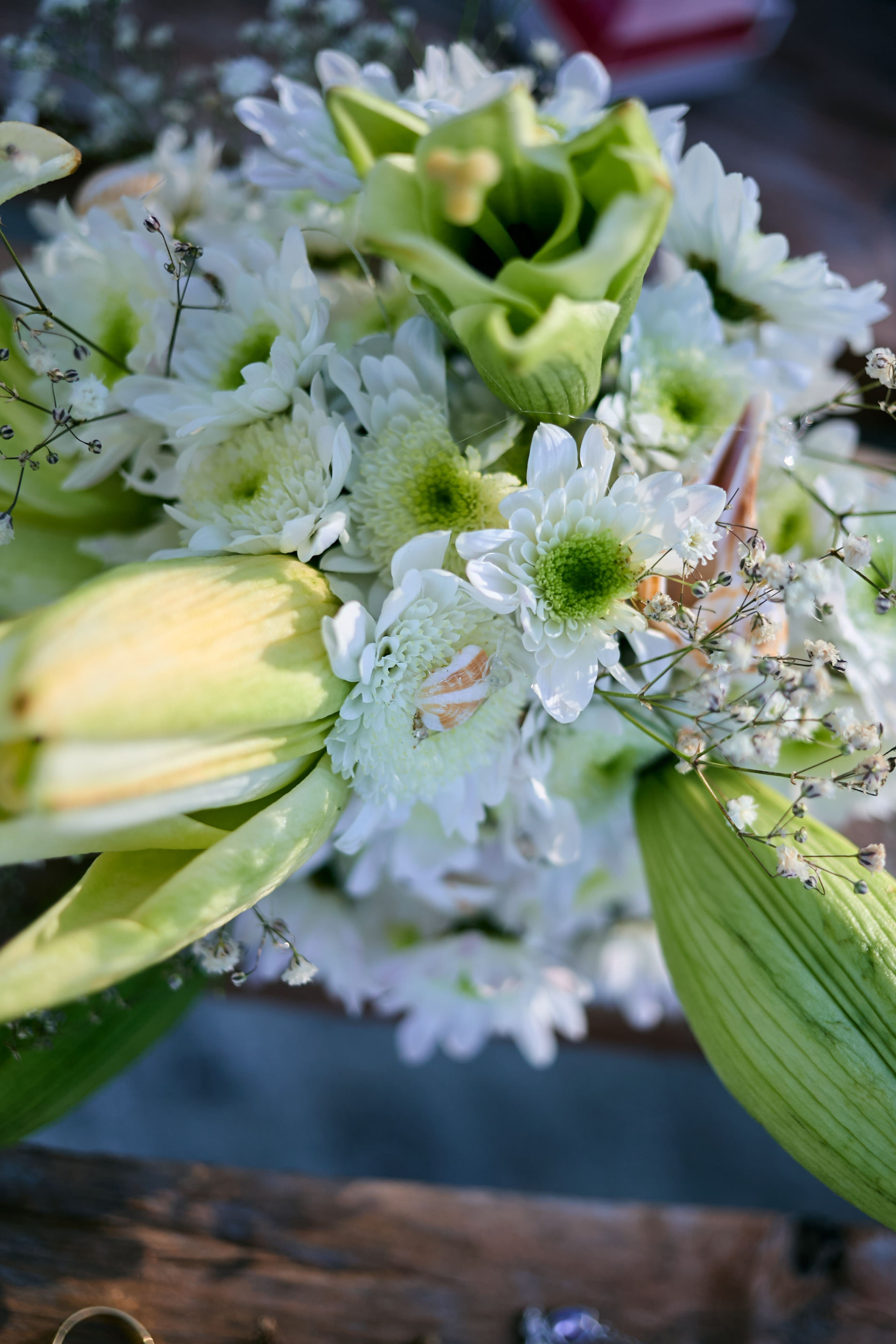 Samuel & ADriana. Christian Ku fotógrafo en Mérida, Yucatán