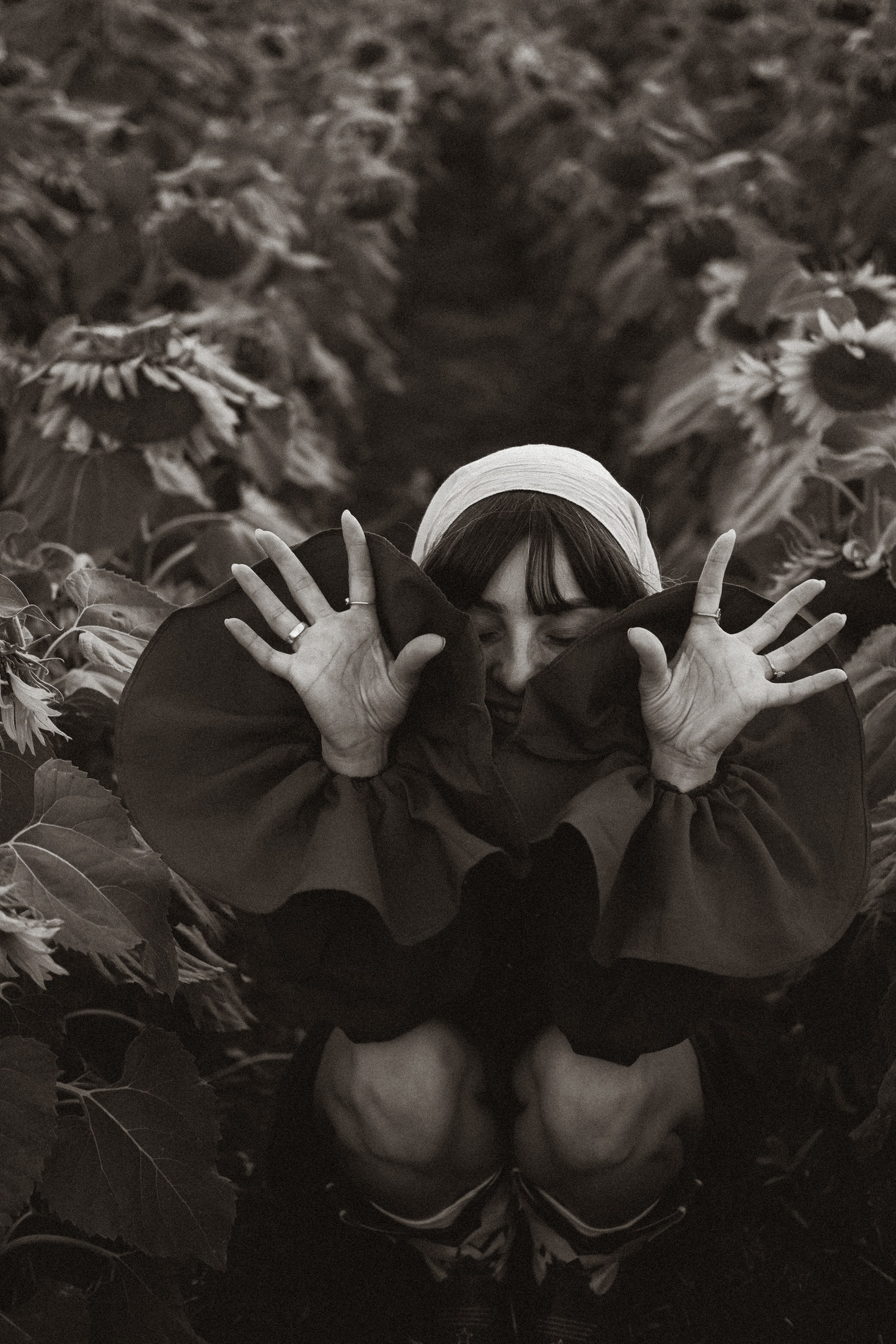 In sunflowers | Meri. Главная