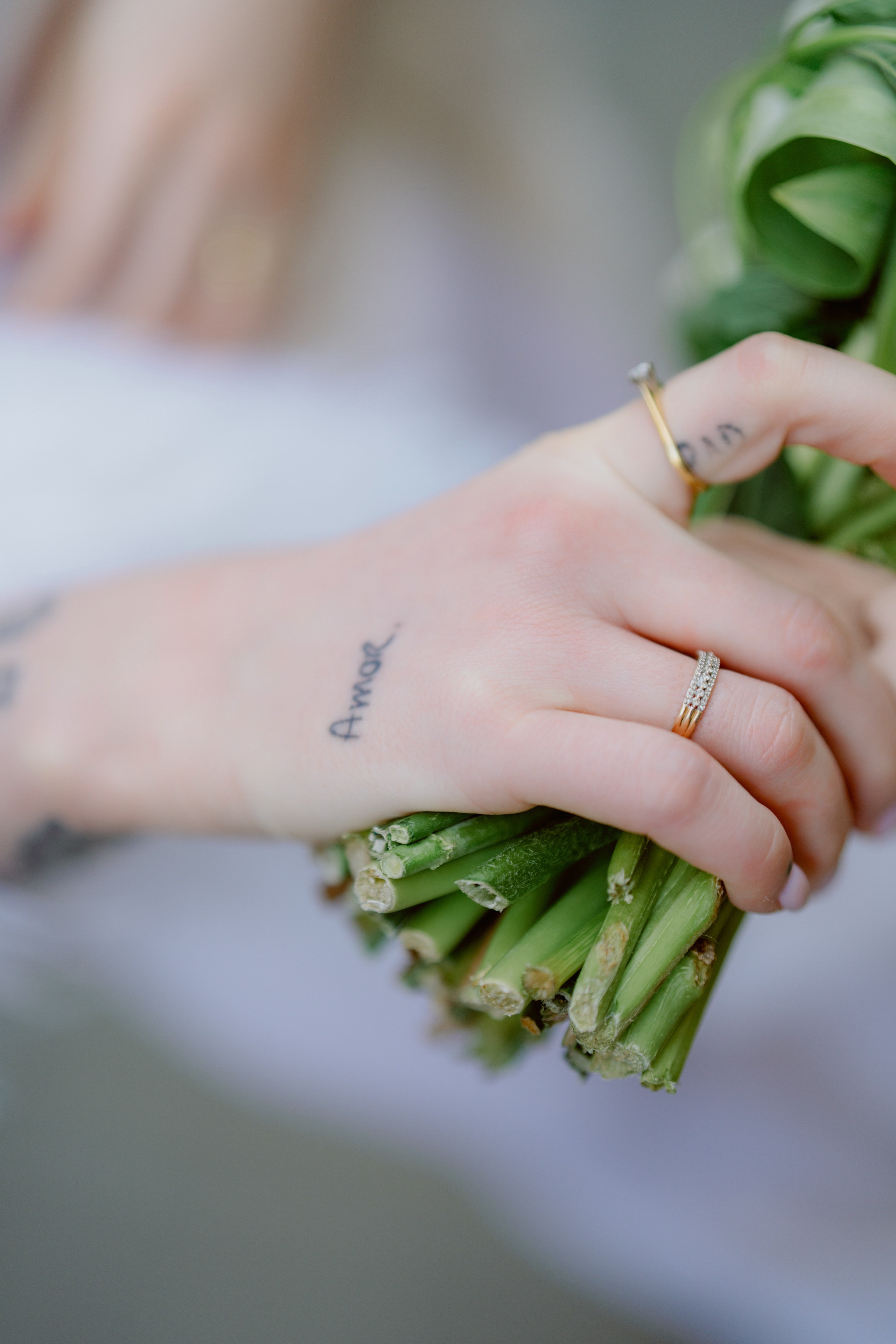 Savannah and Michael. Wedding photographer and videographer New York | New Jersey