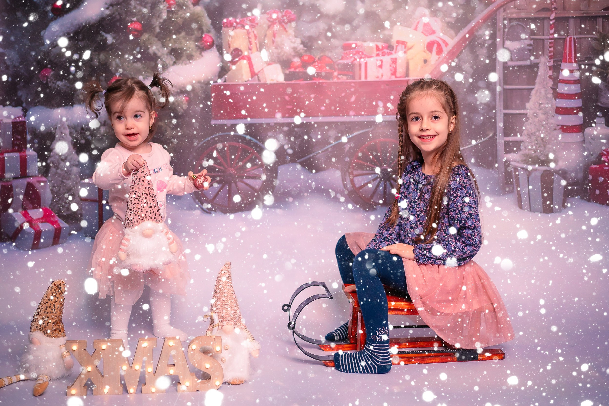 Școli și Grădinițe