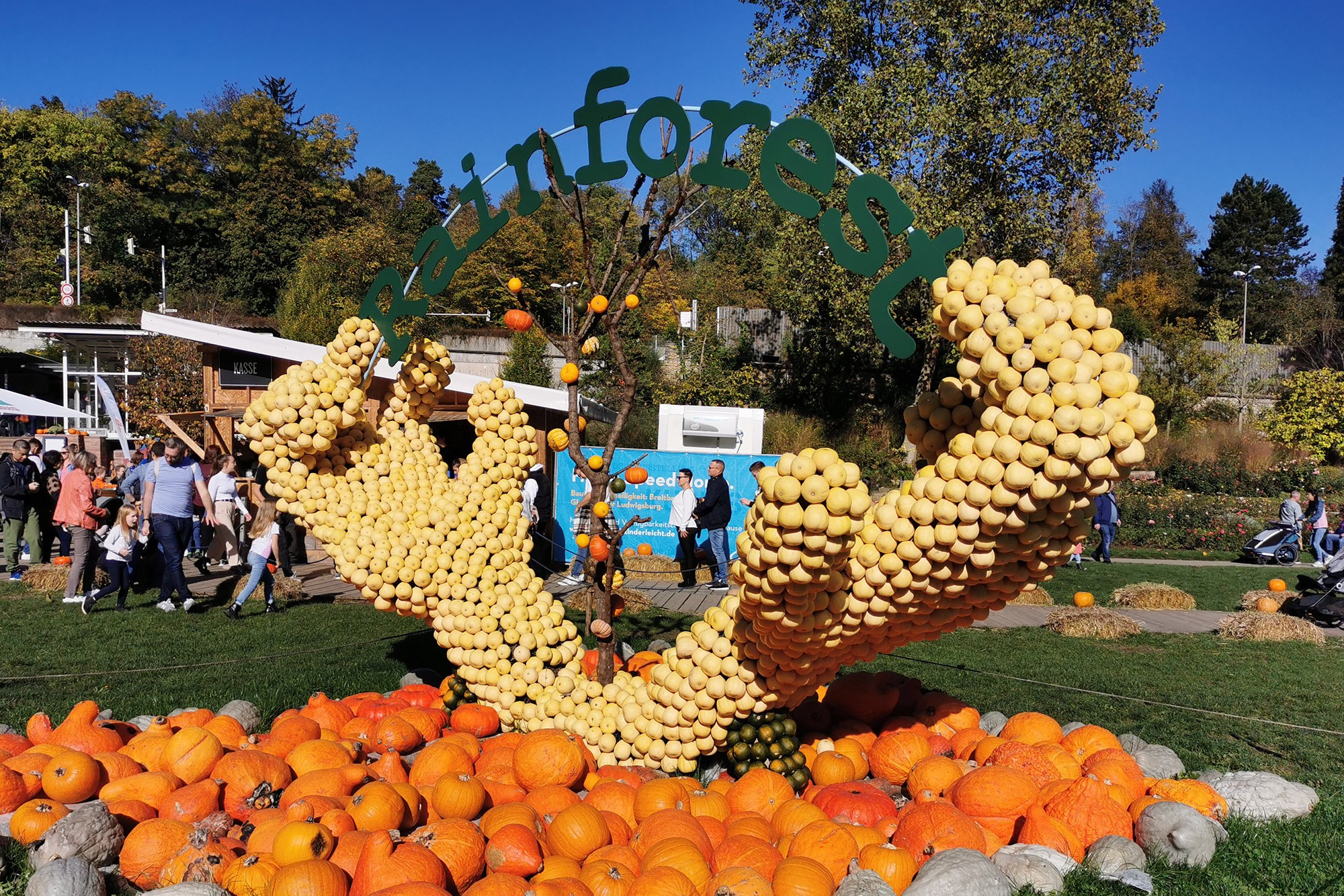 Фестиваль тыквы. Elina Reisen. Туристическое агентство в Аугсбурге