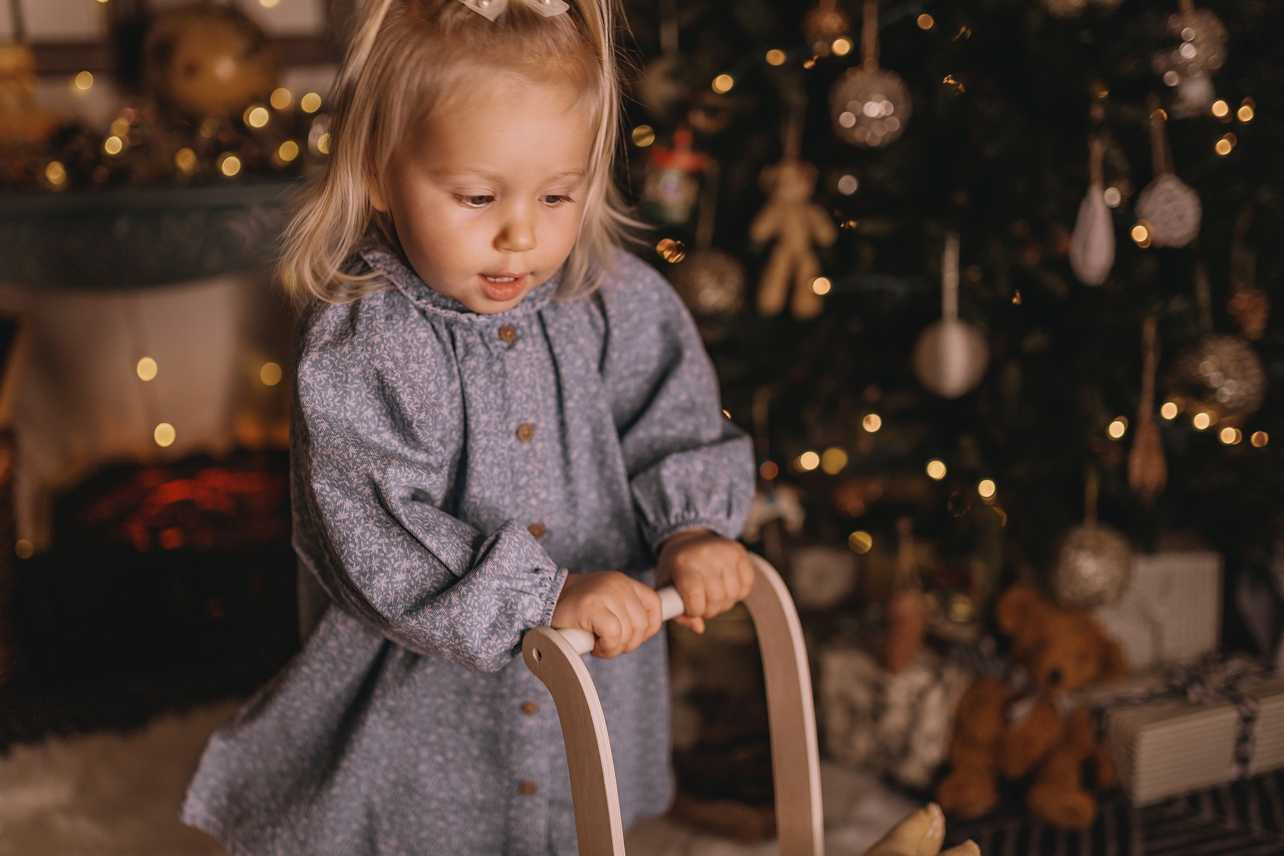 12.08.2025 Christmas Photoshoot. Wedding family event photographer in Chicago Nick Yushevich