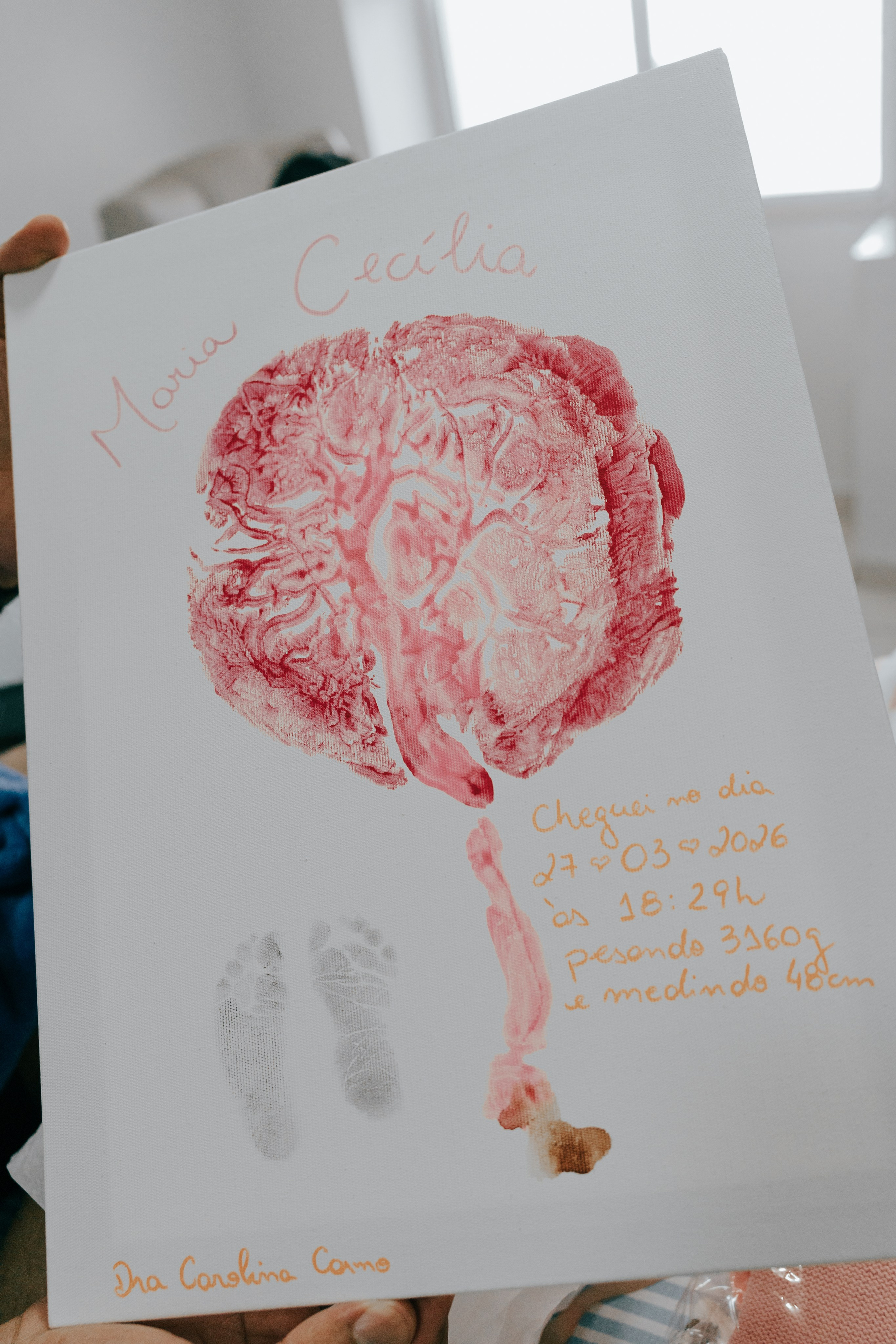 Nascimento Maria Cecília