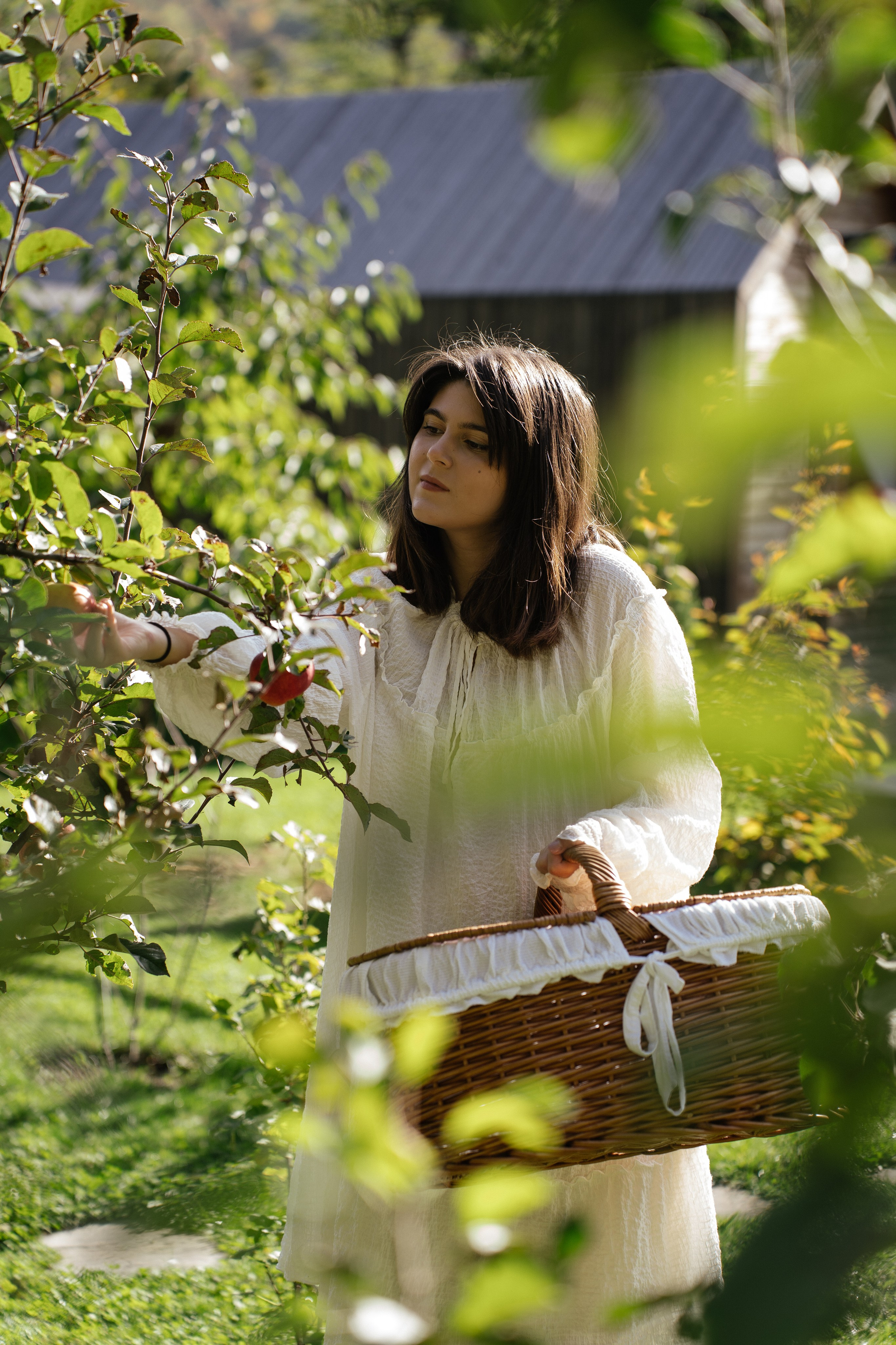 Mood. Patricia Morenci — Mountain Adventures for the Wild at Heart