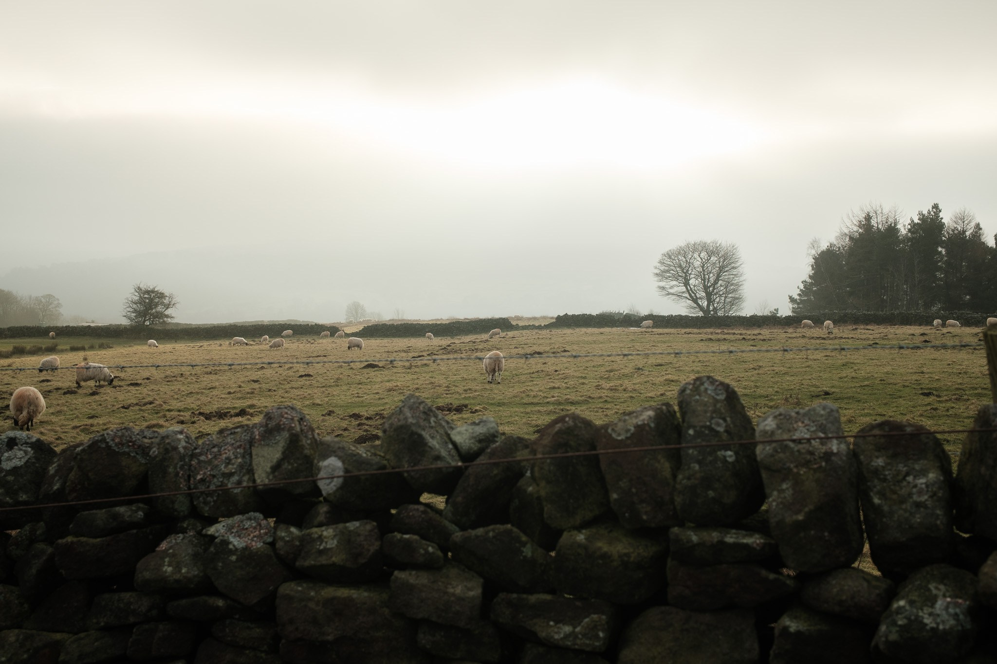 Peak District 2024. Cal Takes Photos