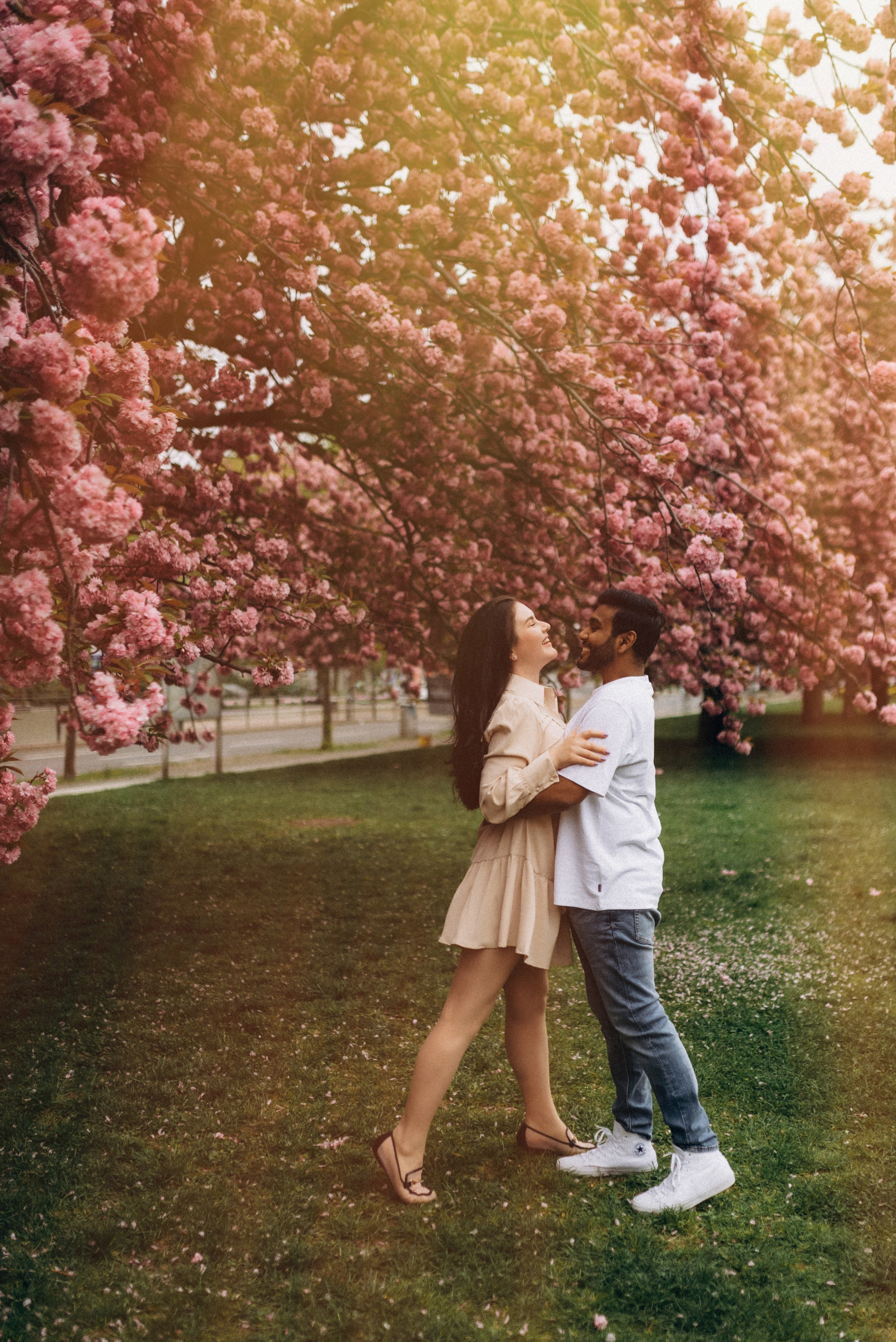 Family history in Sakura. Семейный фотограф Лейпциг, Германия