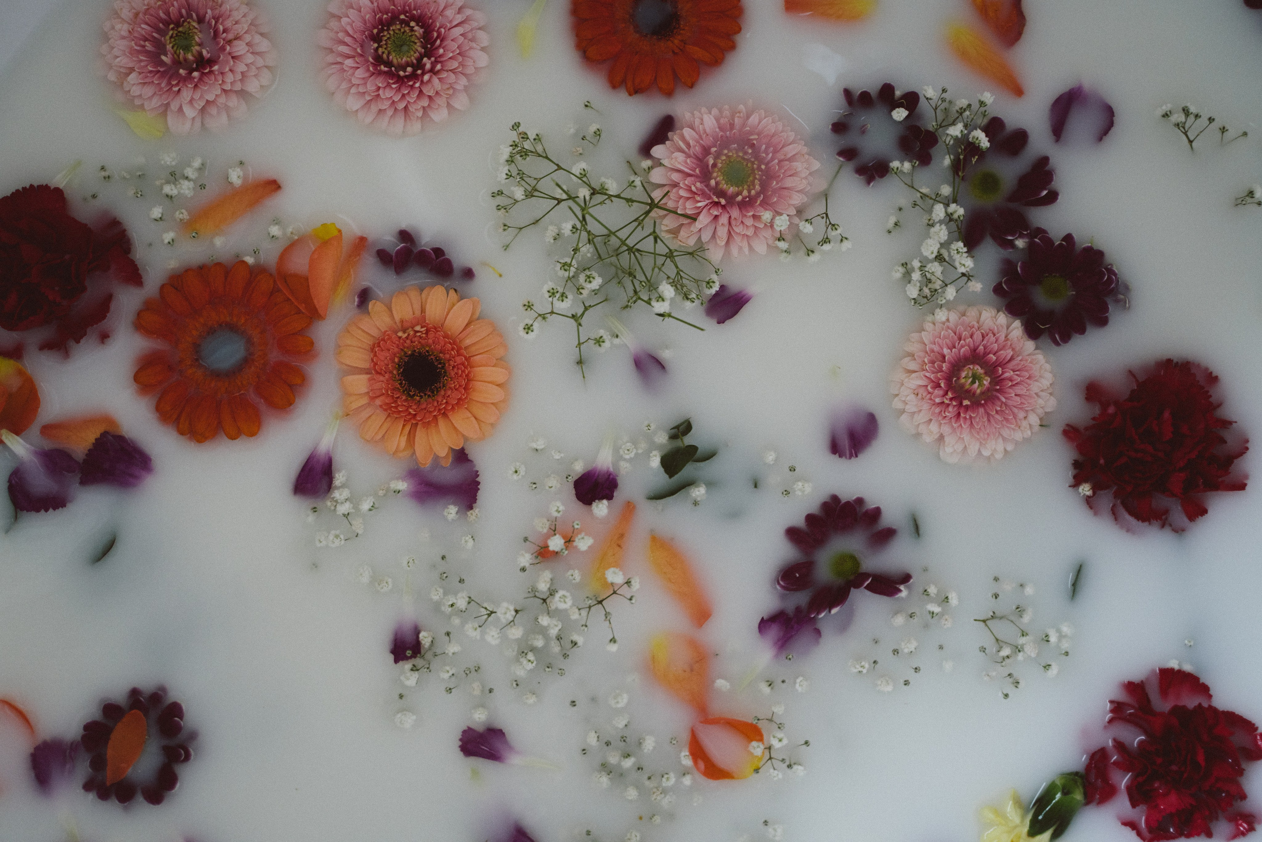 Babybauch. Authentische und emotionale Familienfotos in Landshut und Umgebung