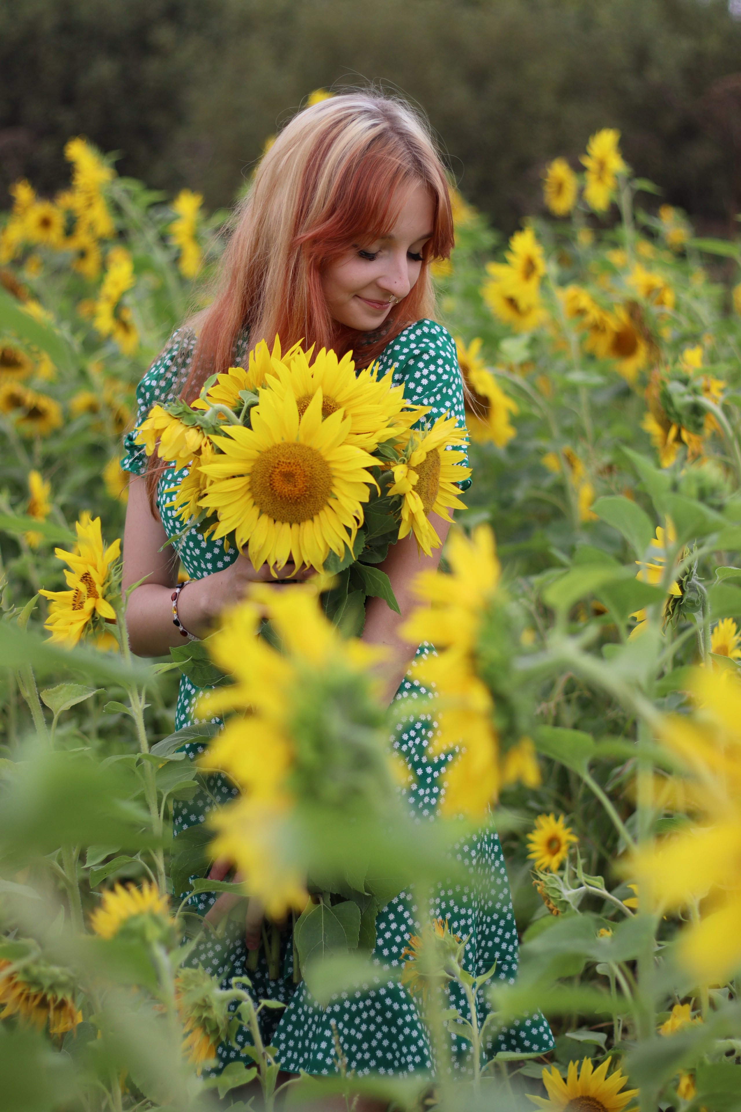 Фотосессия в подсолнухах. Фотограф / Даугавпилс / Ольга Антонова