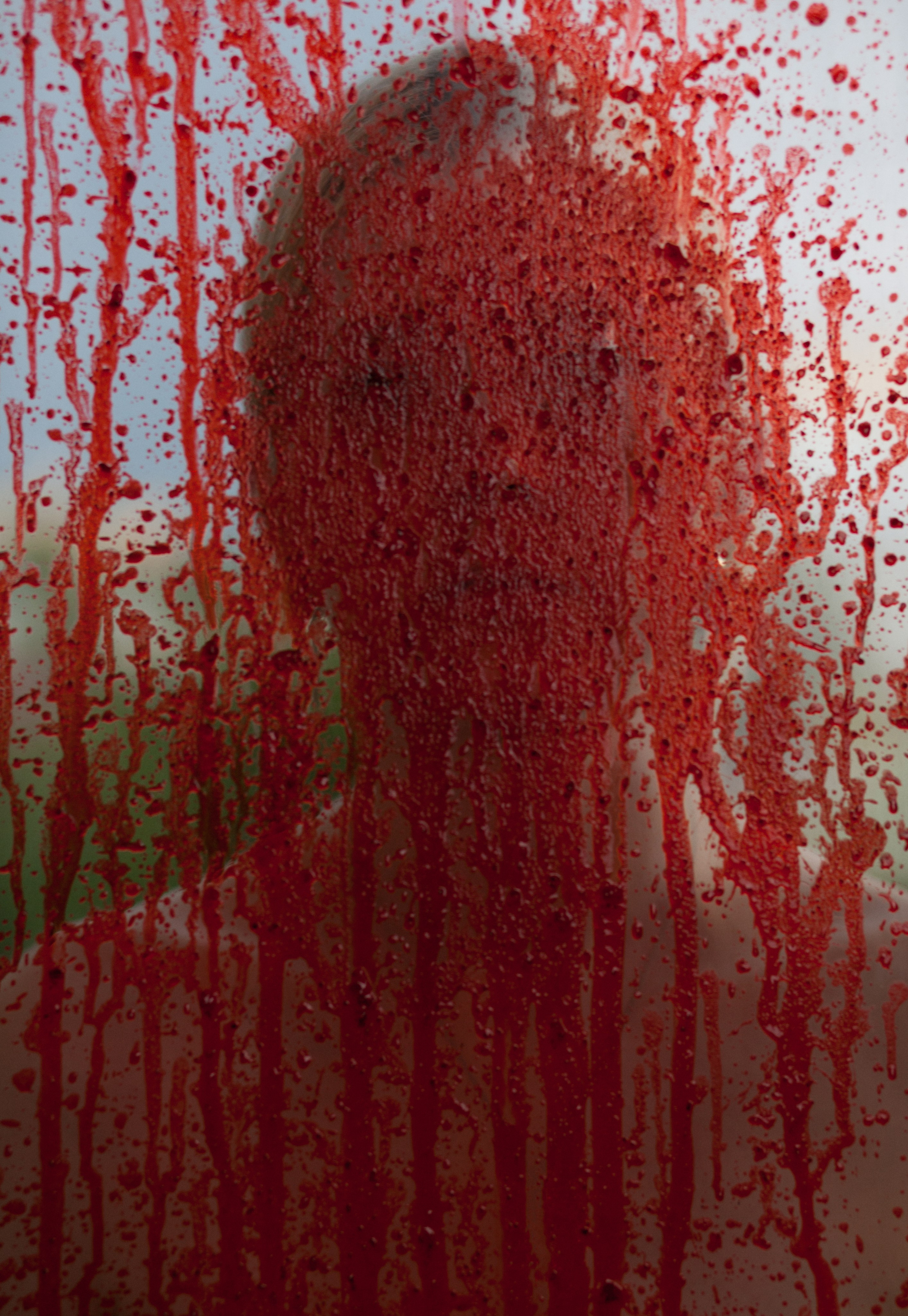 Inna Mosina, Visual Artist