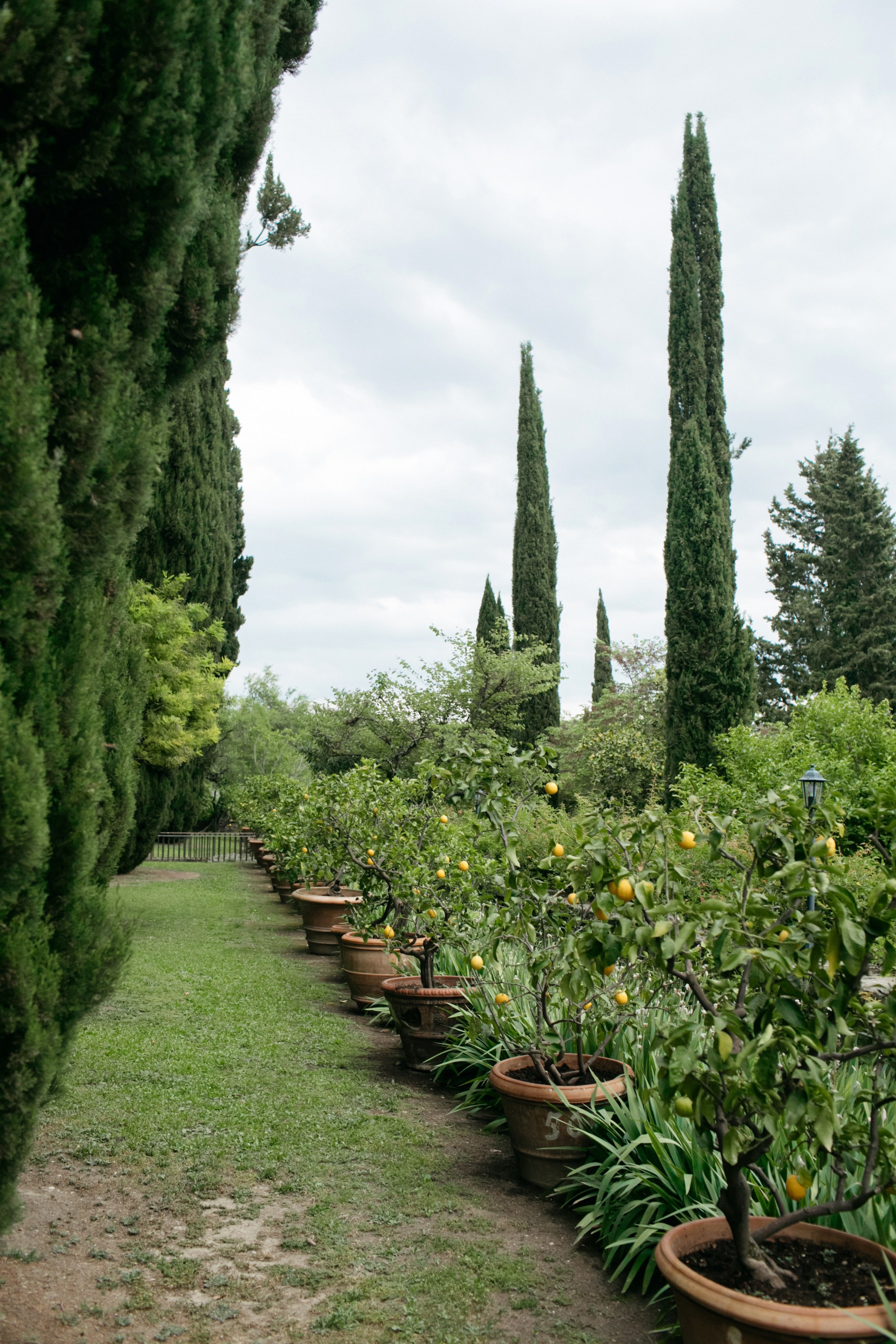 Tuscany Castello di Montegufoni wedding. Iurkovski PHOTOGRAPHY in Europe. Luxury destination weddings and events