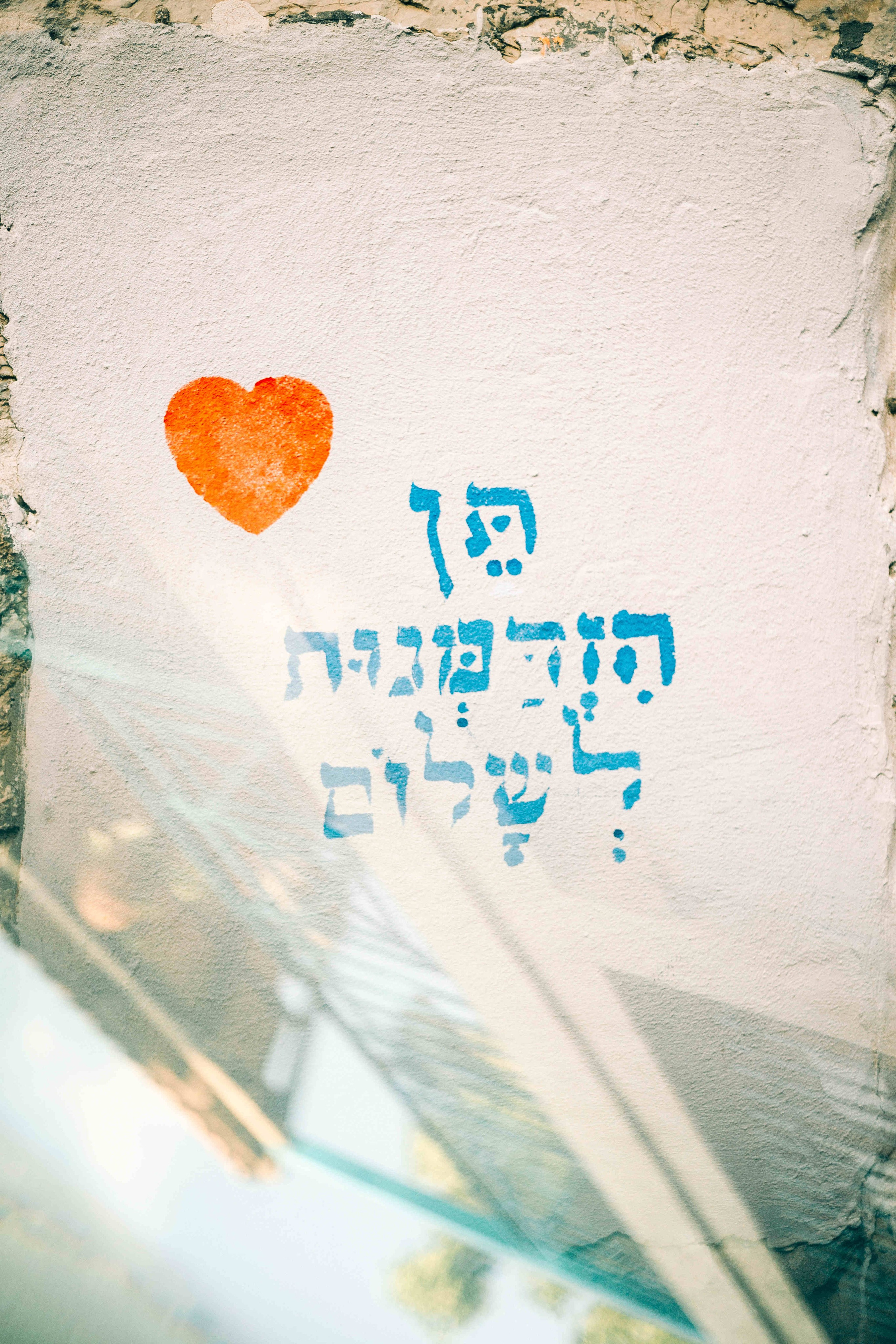 SWEET MORNING. PHOTOGRAPHER IN ISRAEL