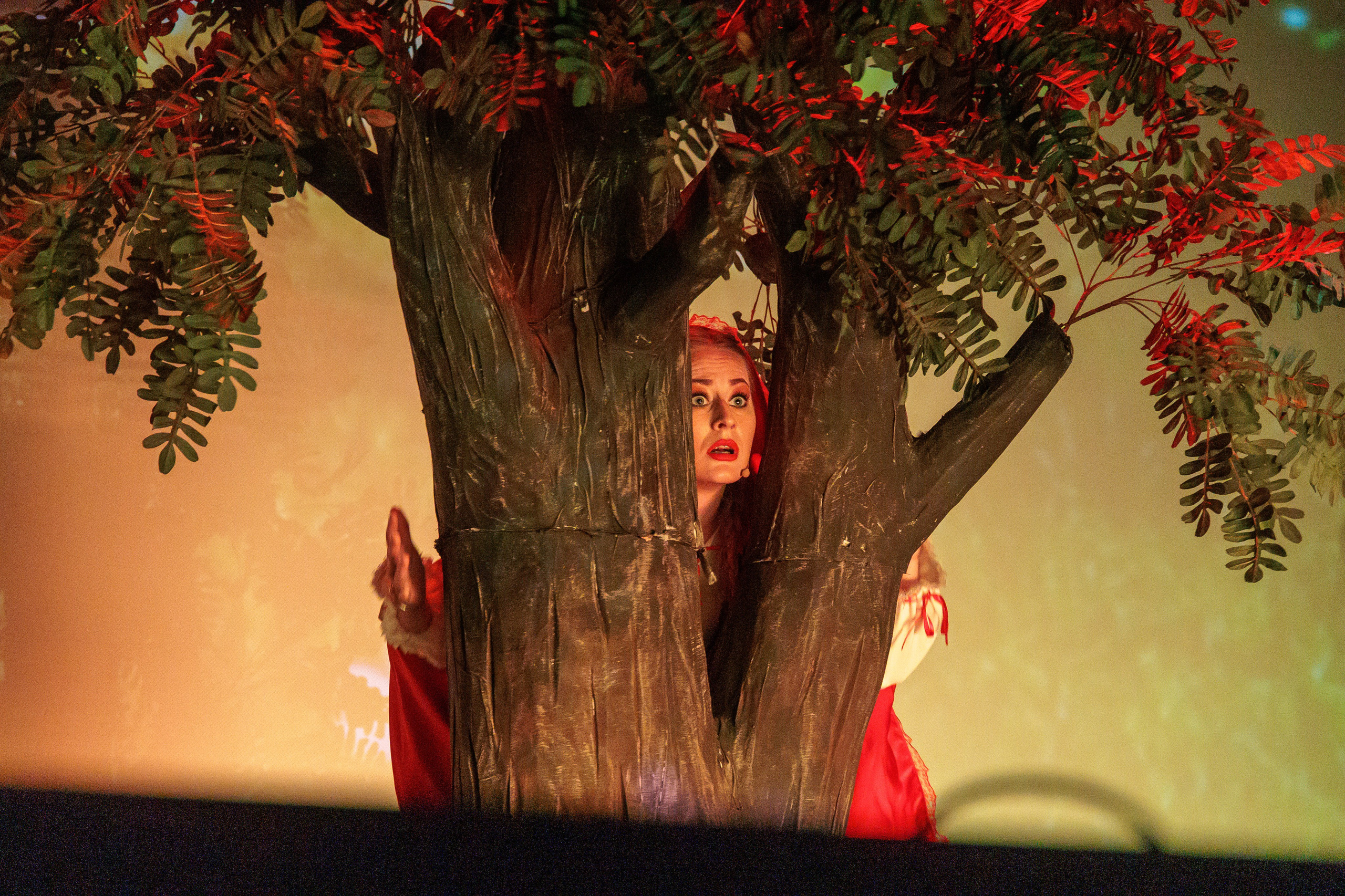 Clounella. Povestea Scufita rosie. ✔️ Фото Видео на свадьбы и крестины Молдова — Cinematic.md