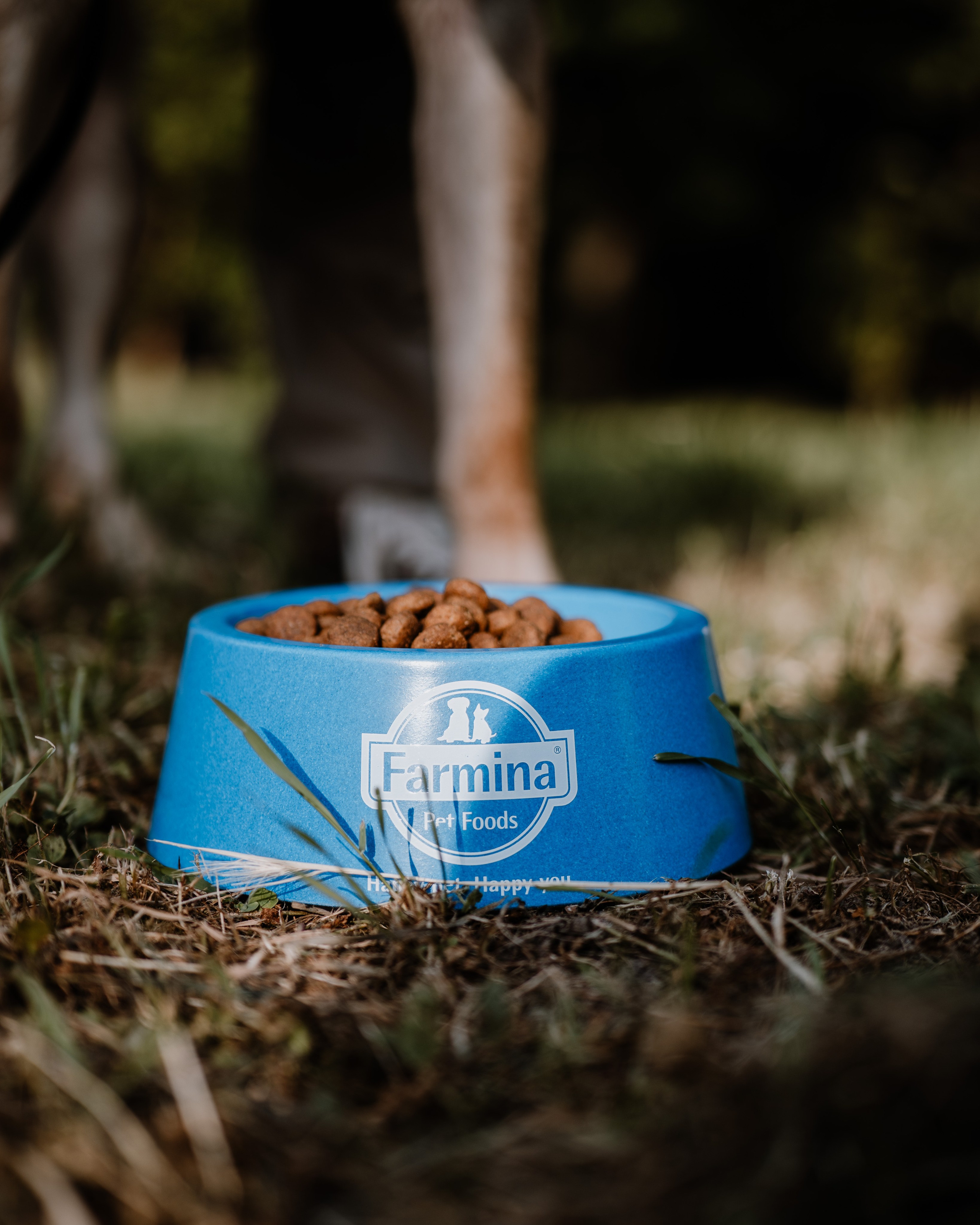 REEL FARMINA - Mâncare de câini