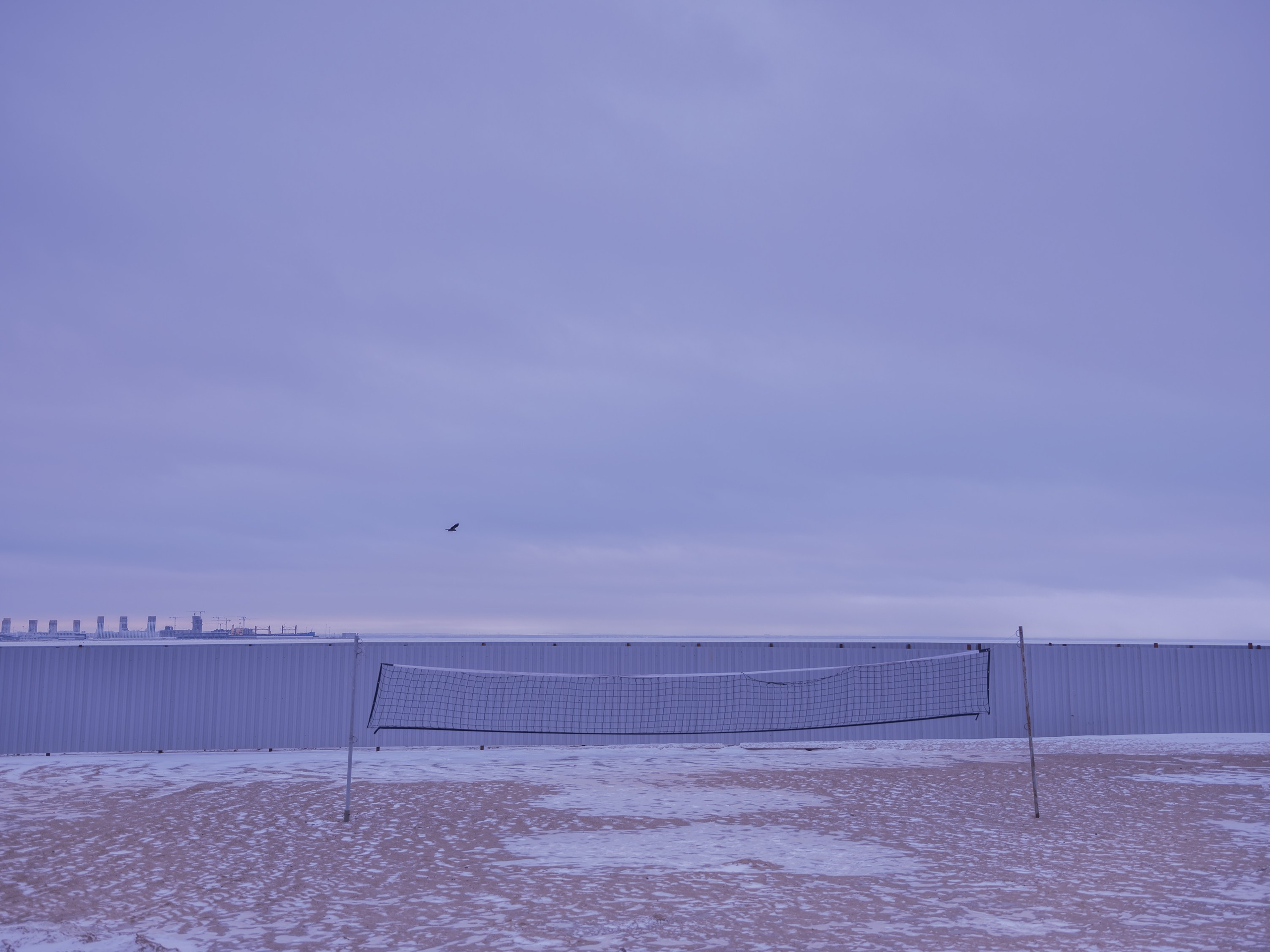 Occasional equilibrium. Marta Ladokhina