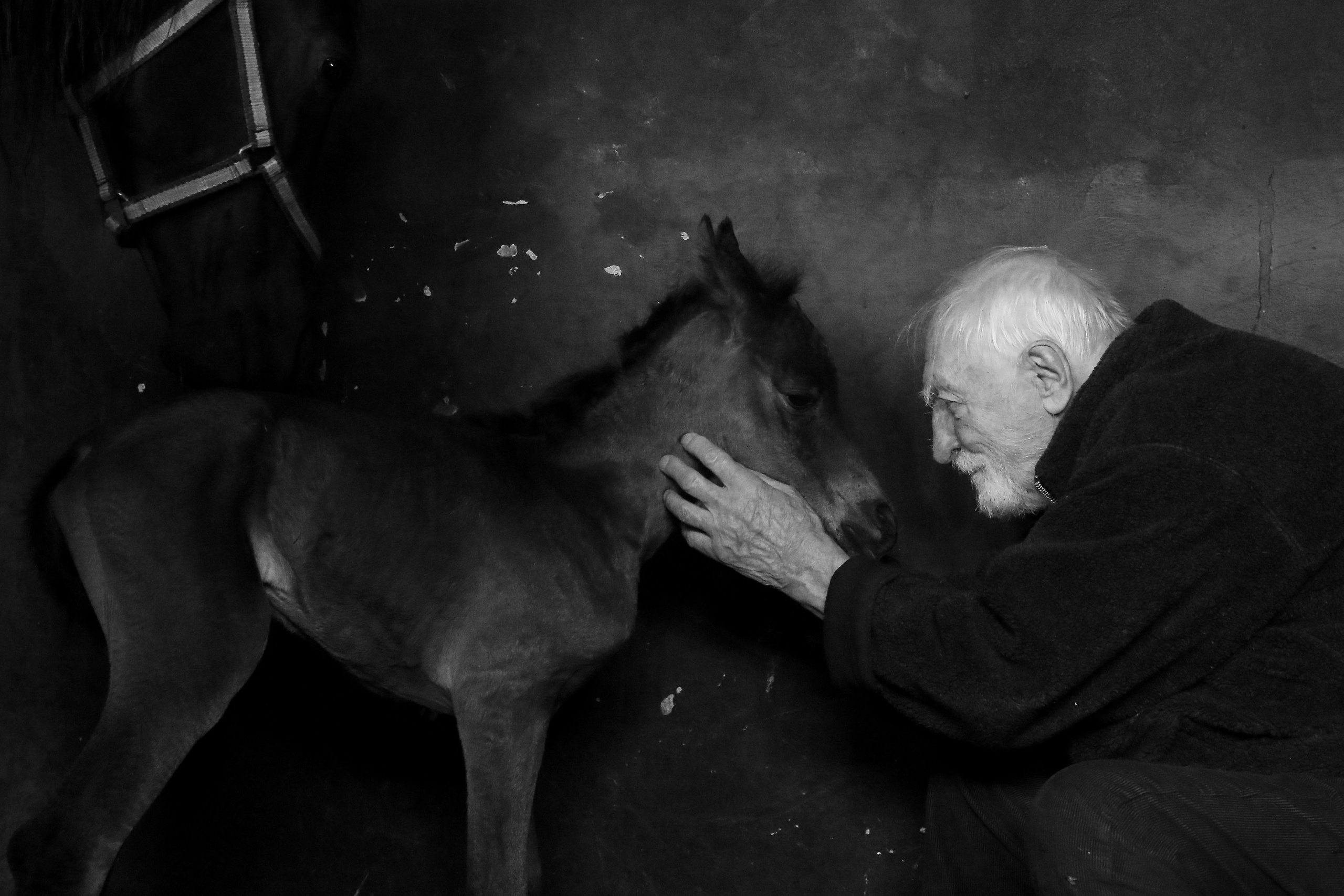 FOTOGRAFIA. Andrzej Strumiłło - Wybitny polski artysta