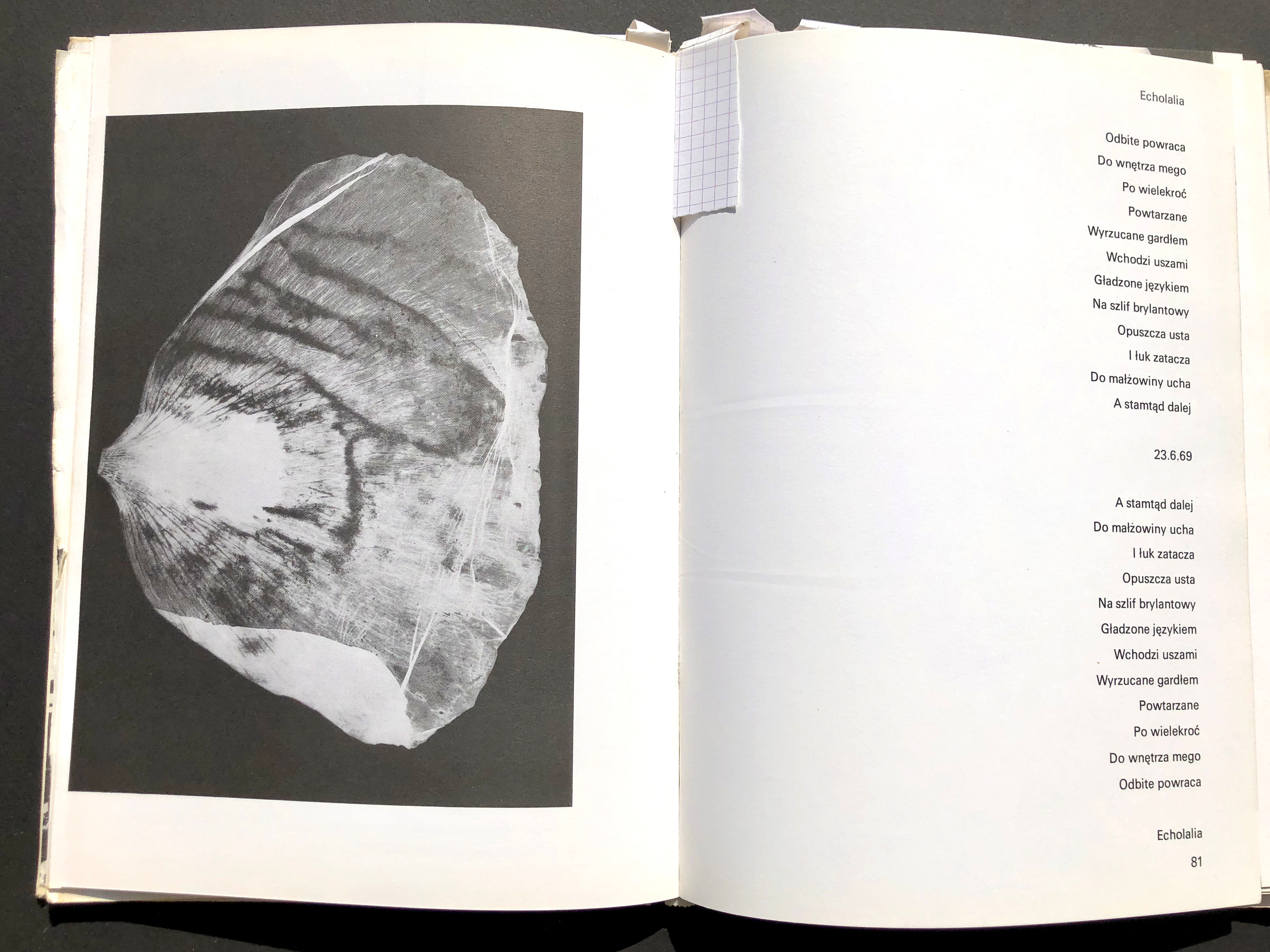 “jak”. Andrzej Strumillo