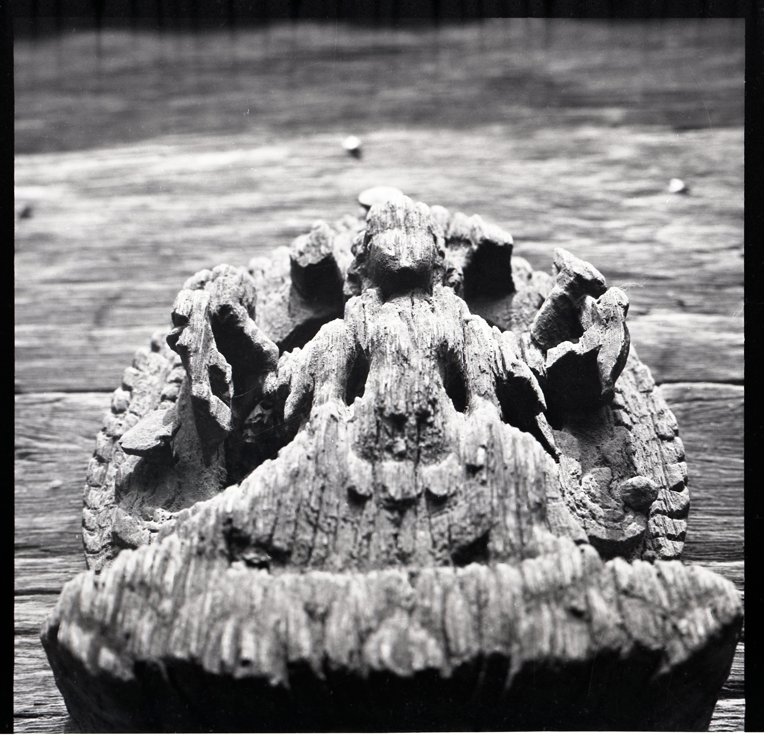 Nepal. Andrzej Strumiłło - Wybitny polski artysta