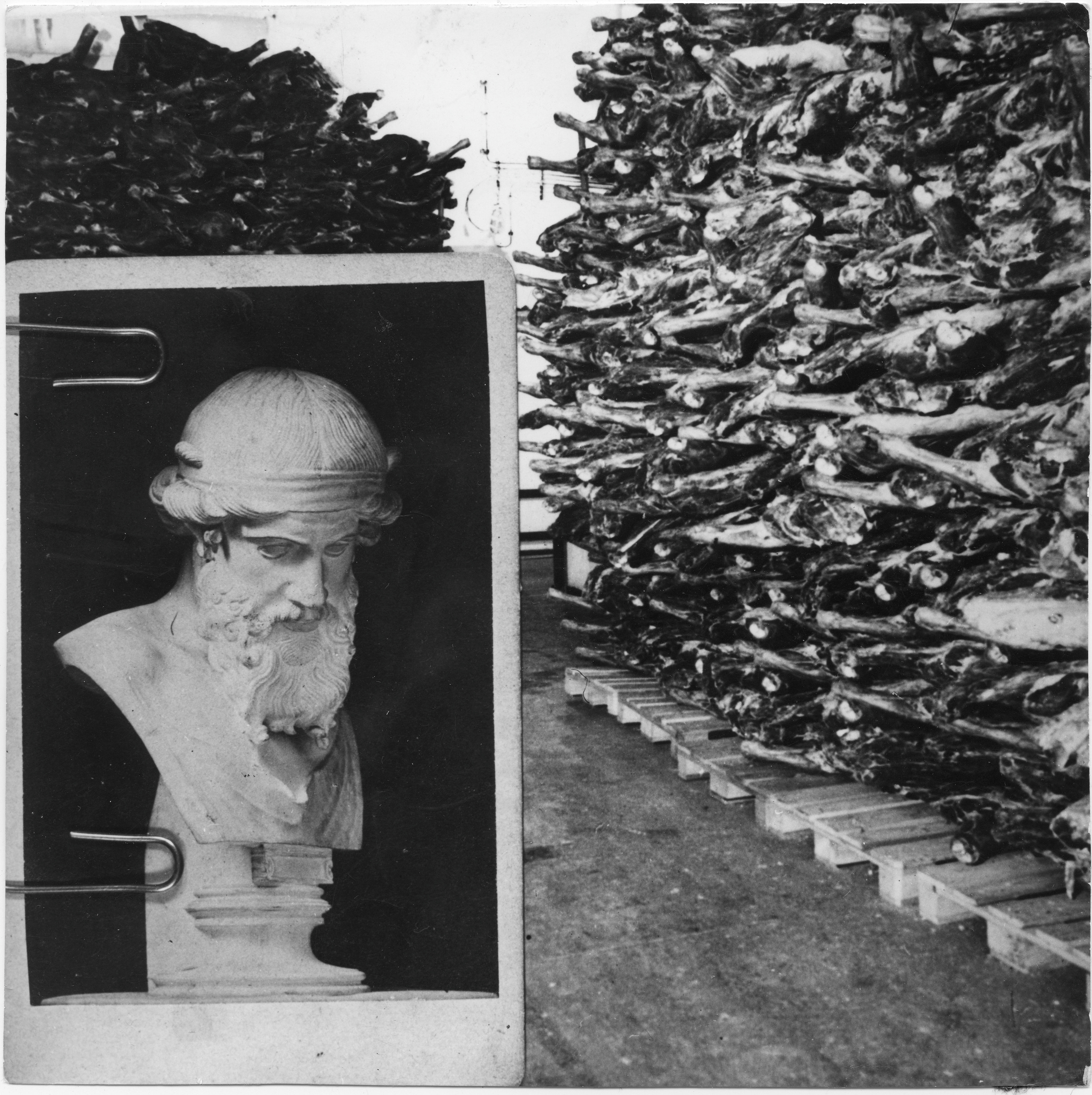 zincograph, 1960 - 1970