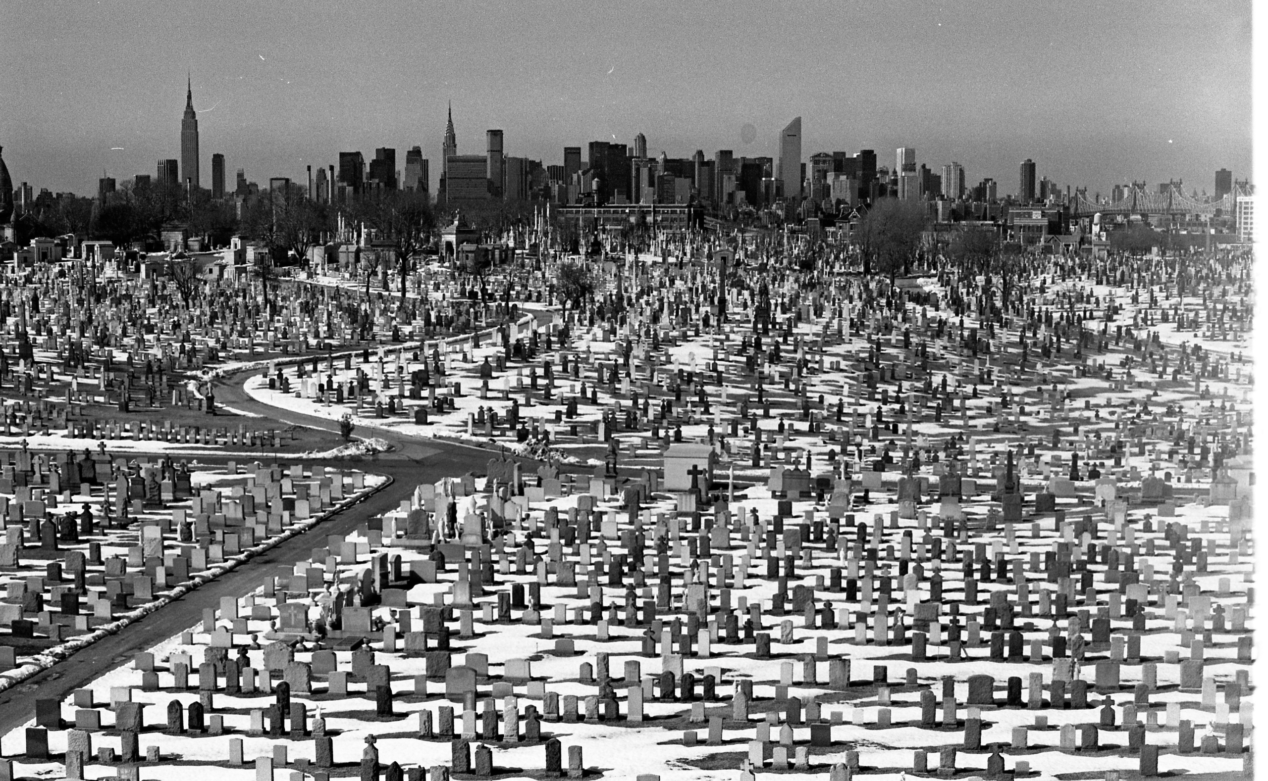 New York City — 1982-1984