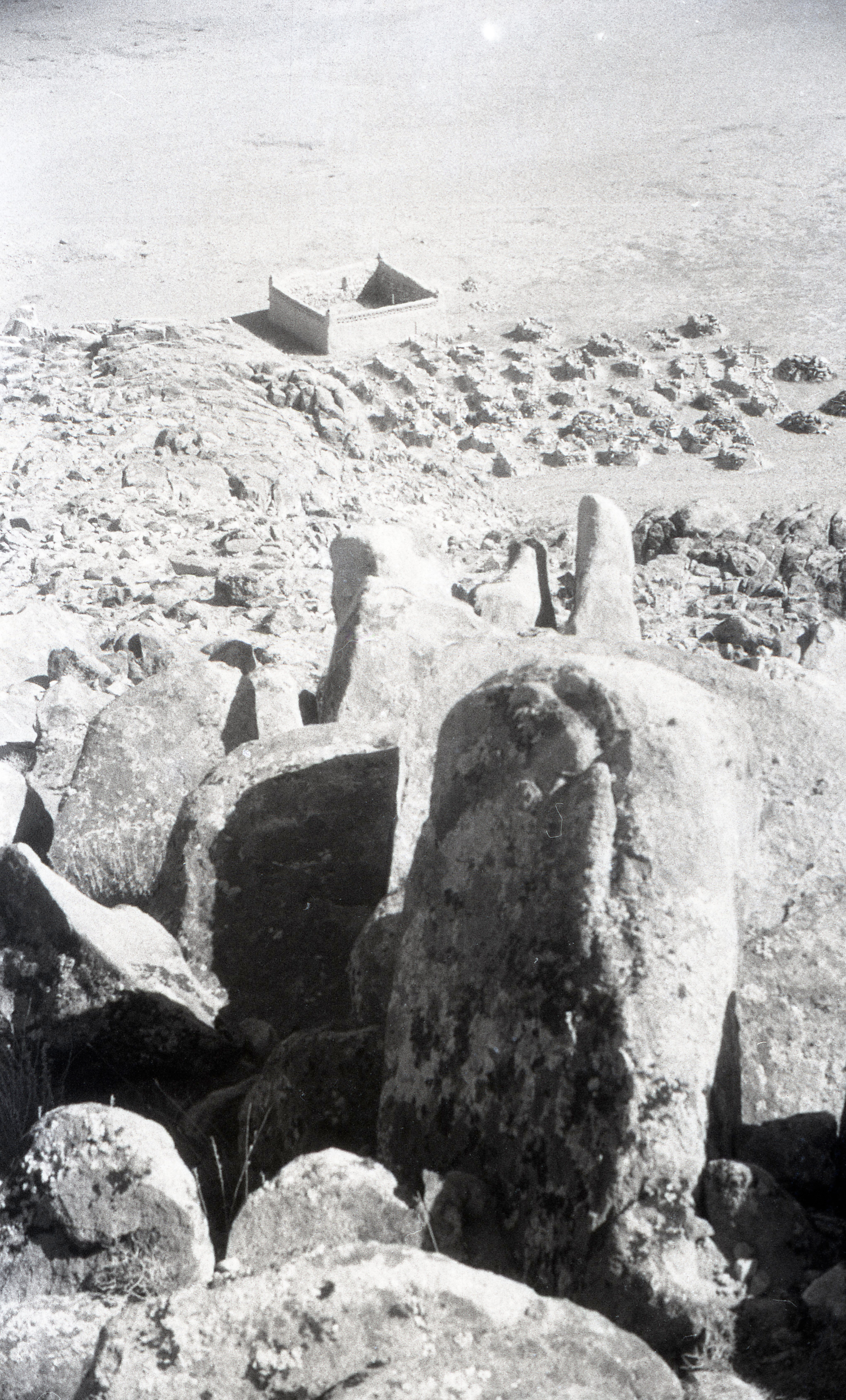 China, Mongolia. Andrzej Strumillo