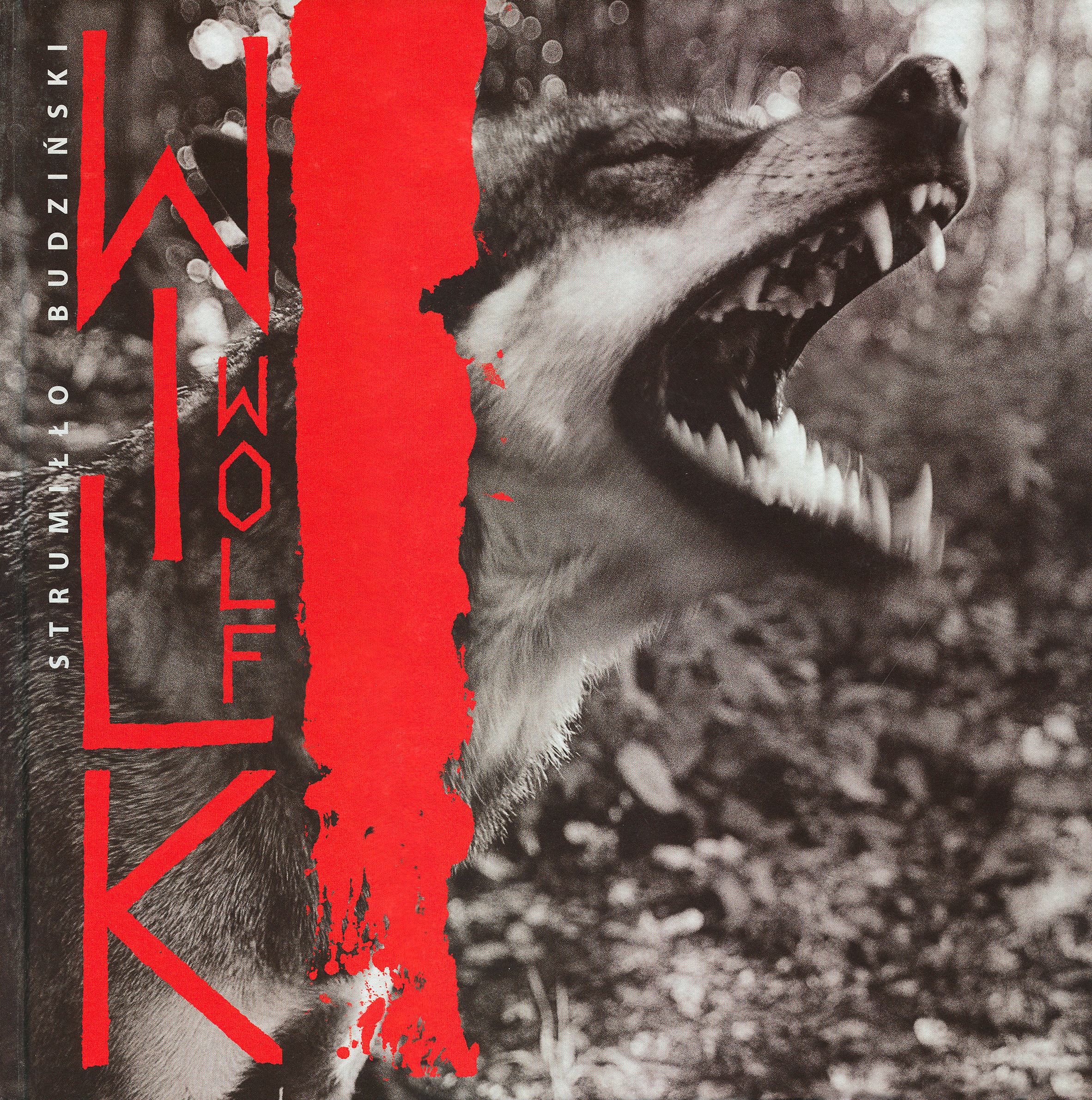 Book designs. Andrzej Strumillo