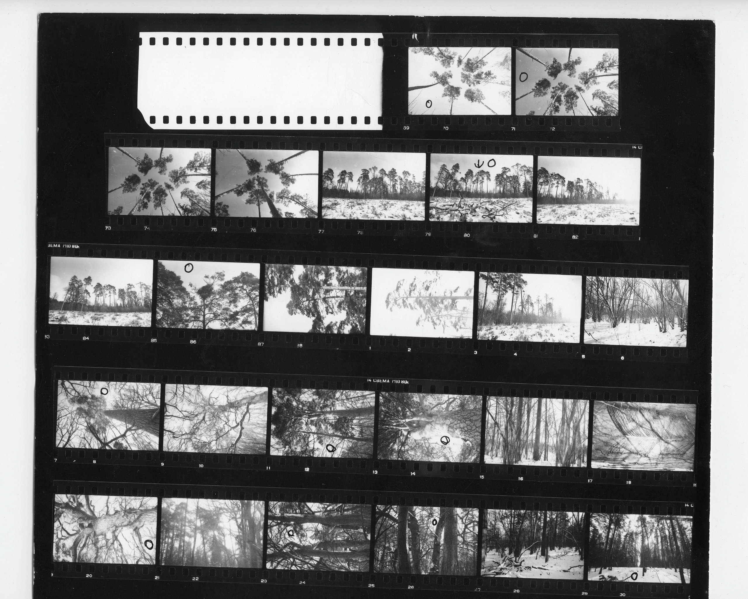 Xxx. Andrzej Strumiłło - Wybitny polski artysta