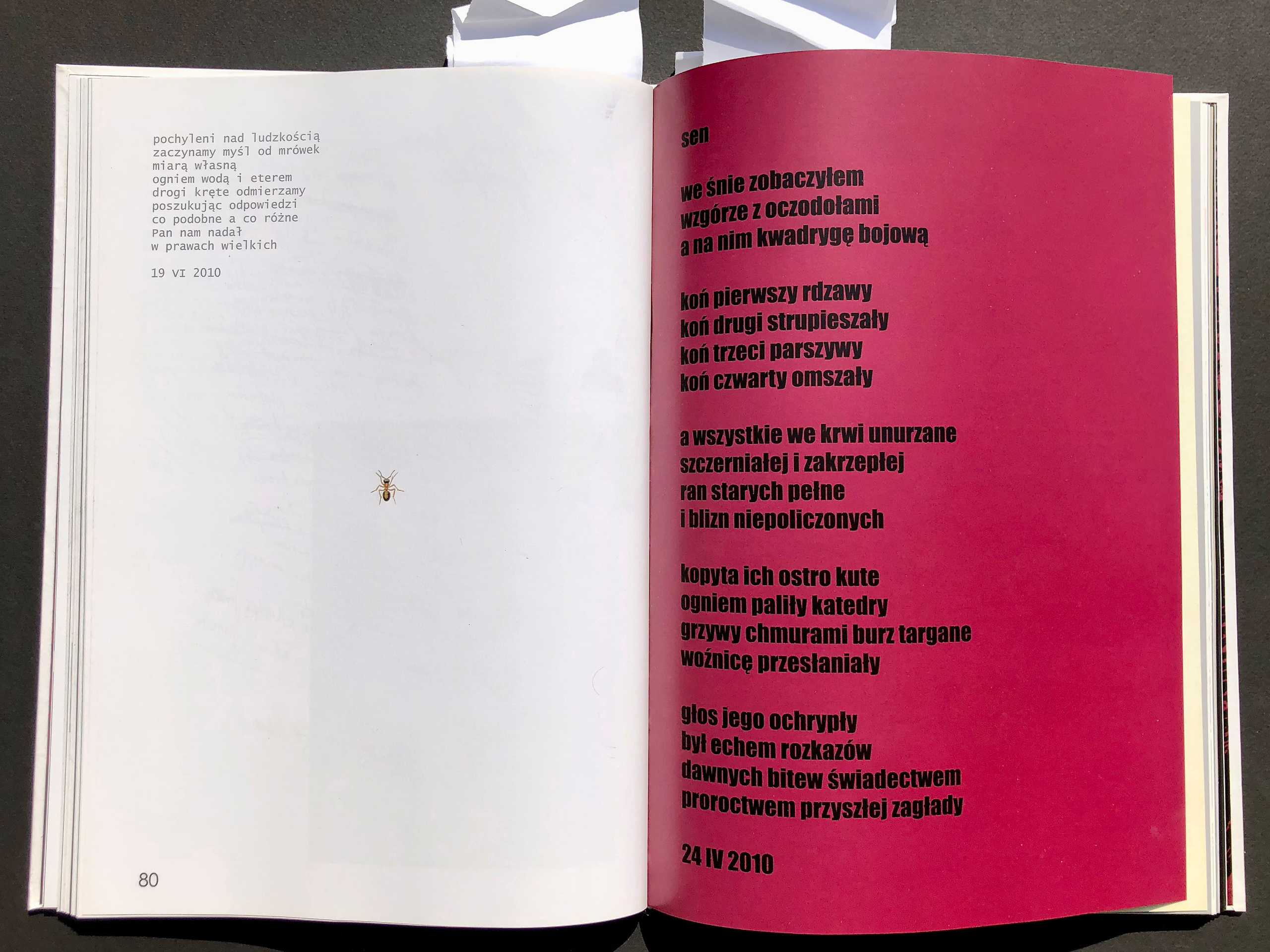 Book designs. Andrzej Strumillo