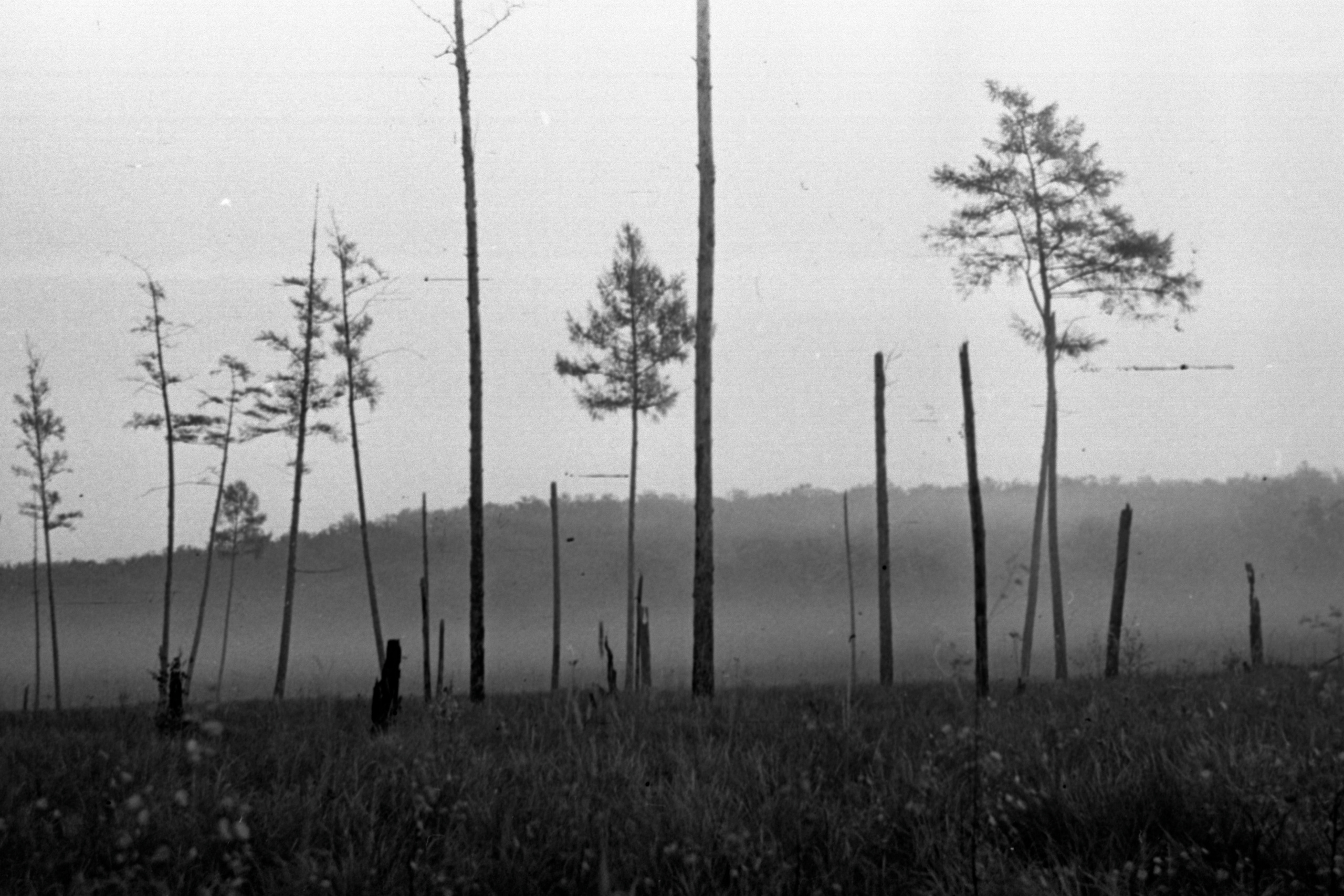 Siberia 1959. Andrzej Strumillo