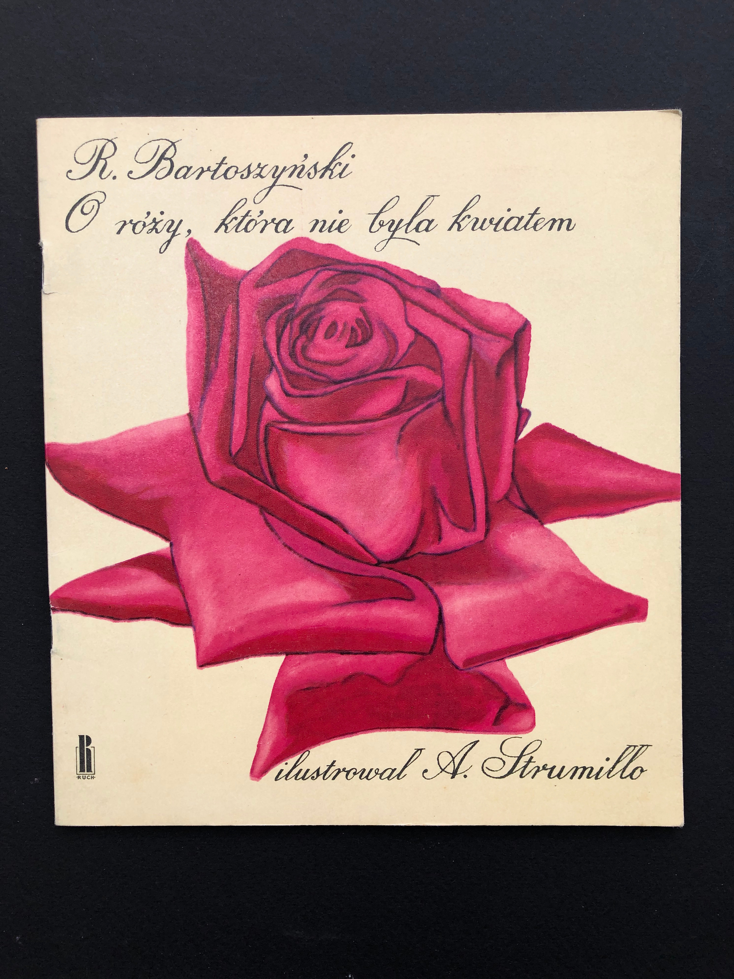 Book designs. Andrzej Strumillo