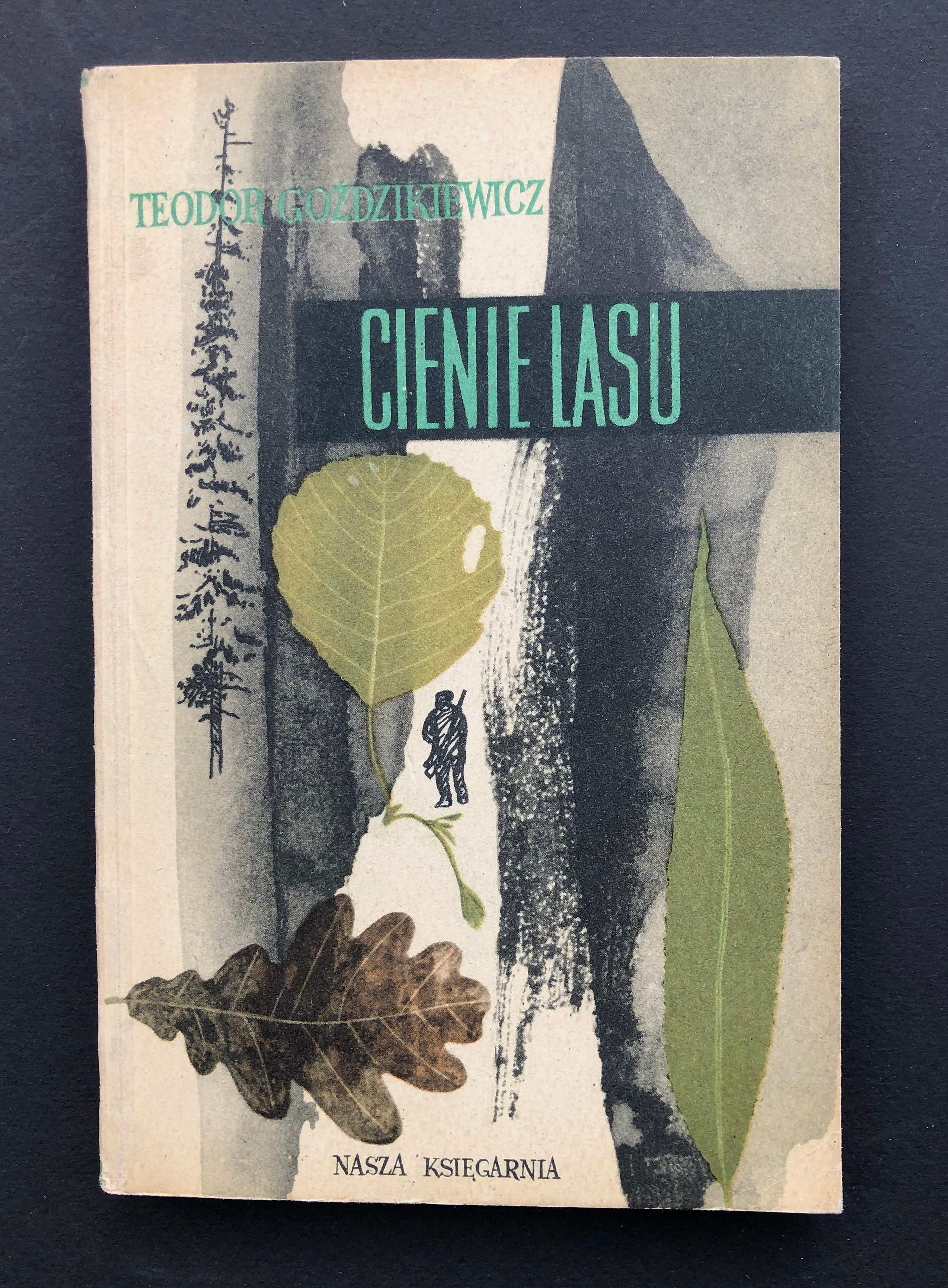 Book designs. Andrzej Strumillo