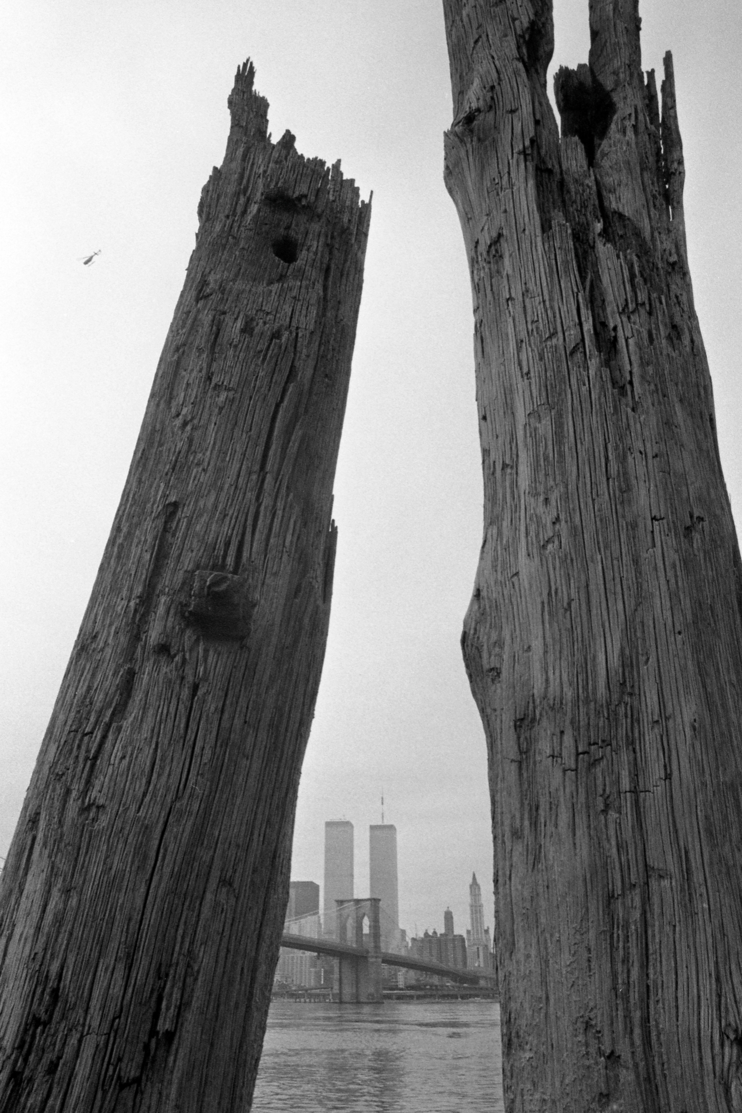 New York City — 1982-1984