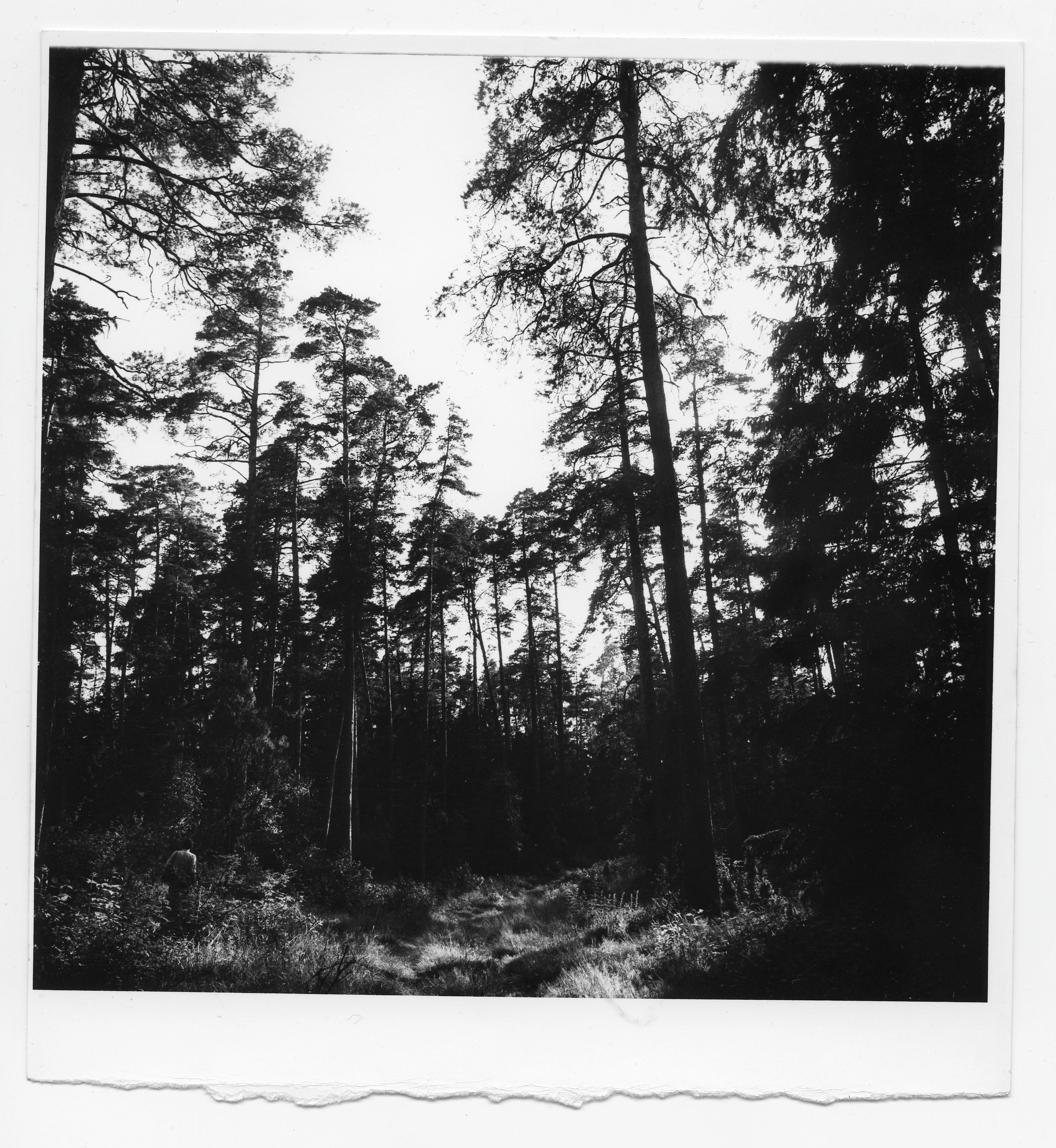 Xxx. Andrzej Strumiłło - Wybitny polski artysta