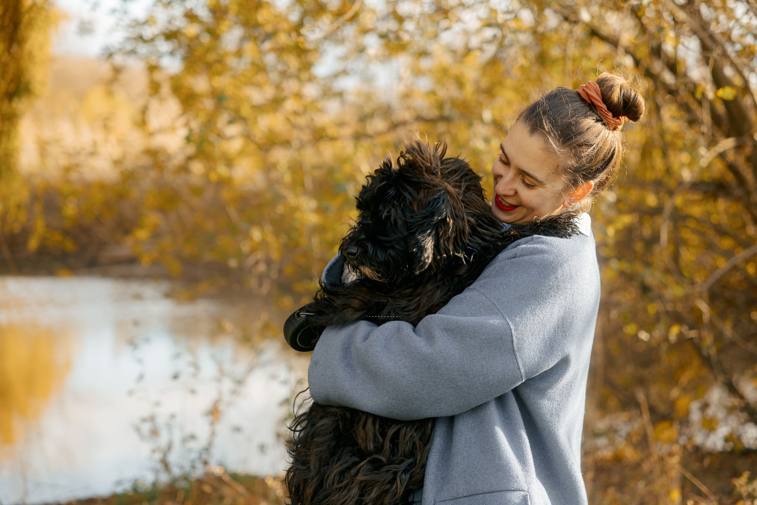 Pet Photoshoot in Spijkenisse | Rotterdam. Romantic & Soulful Photography by Natalia Olhova in Rotterdam
