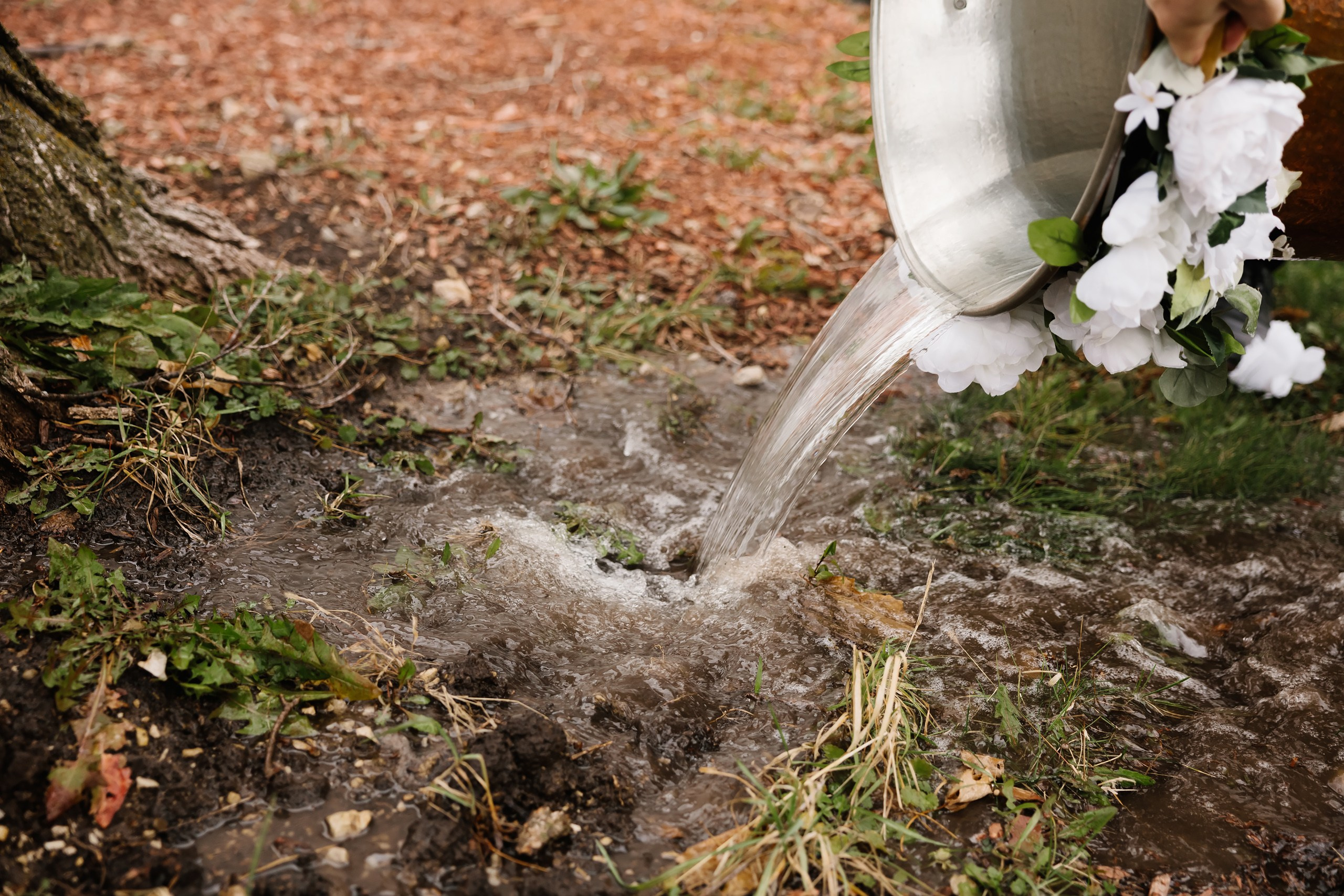 11.23.2024 Christening. Wedding family event photographer in Chicago Nick Yushevich