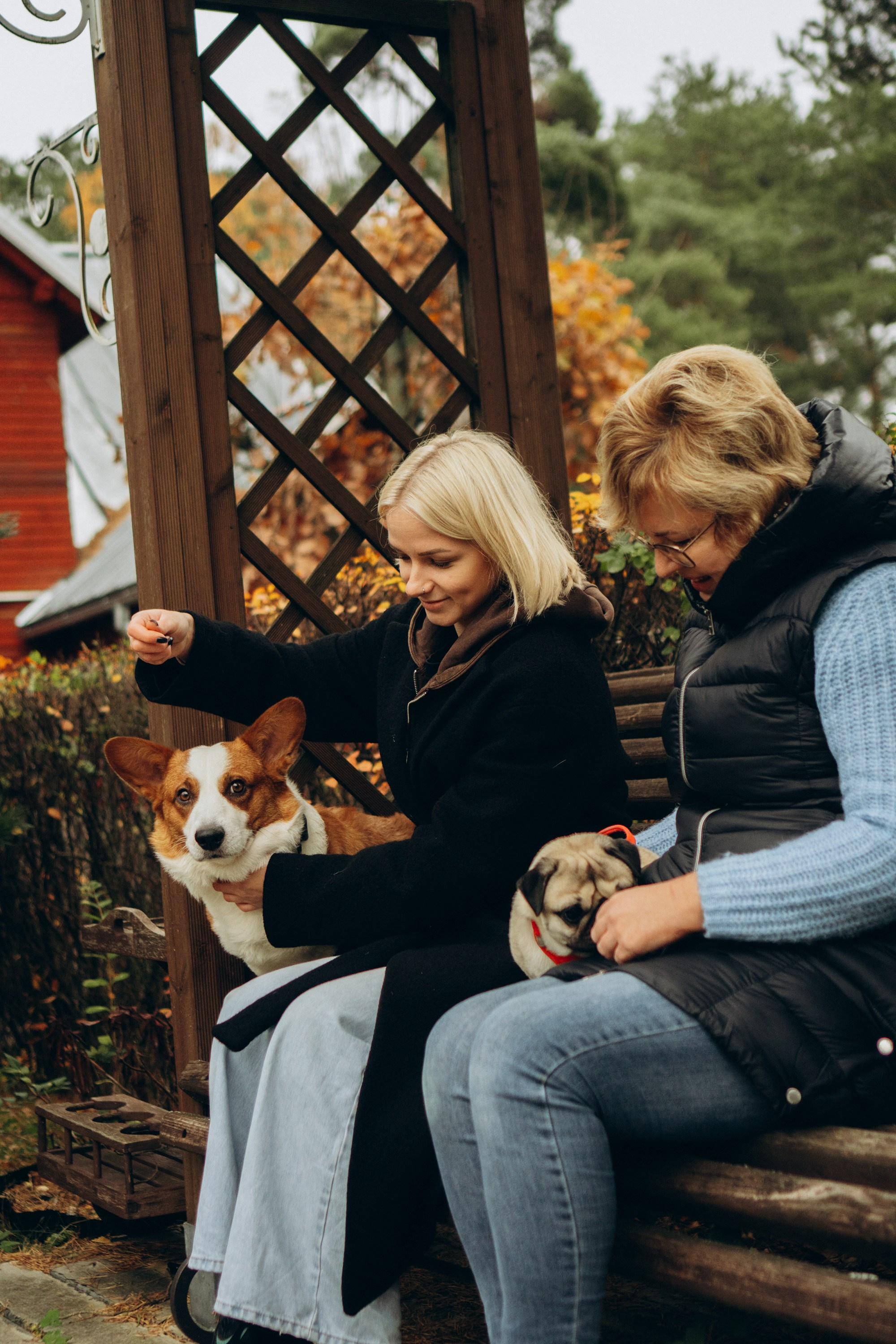 Jelena and her Sandy, Pug and Katja and her Safiir, Cardigan Welsh Corgi. Kat Laisaar — Pet photographer in Tallinn