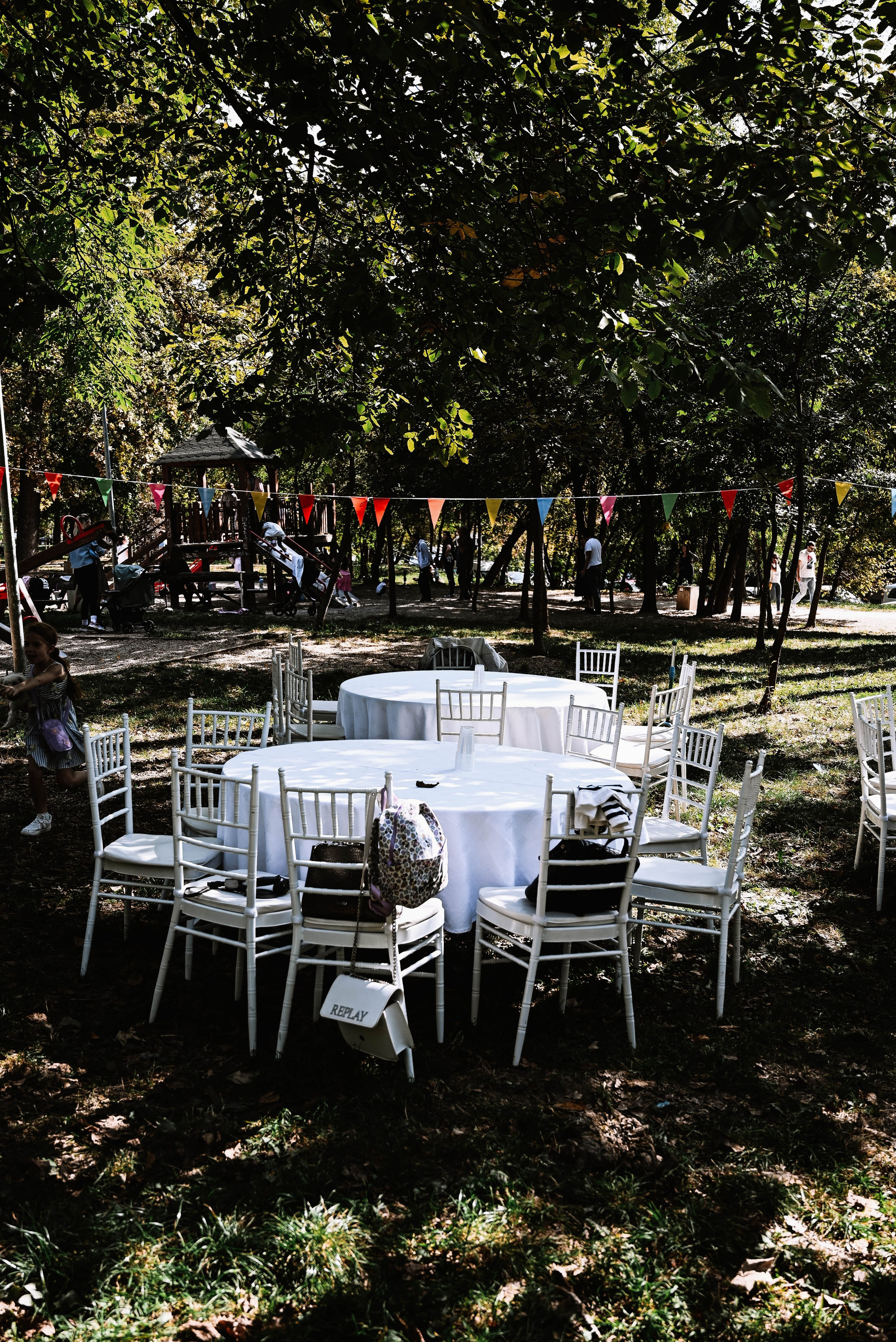 Novak 5. rođendan. Dečiji i porodični fotograf