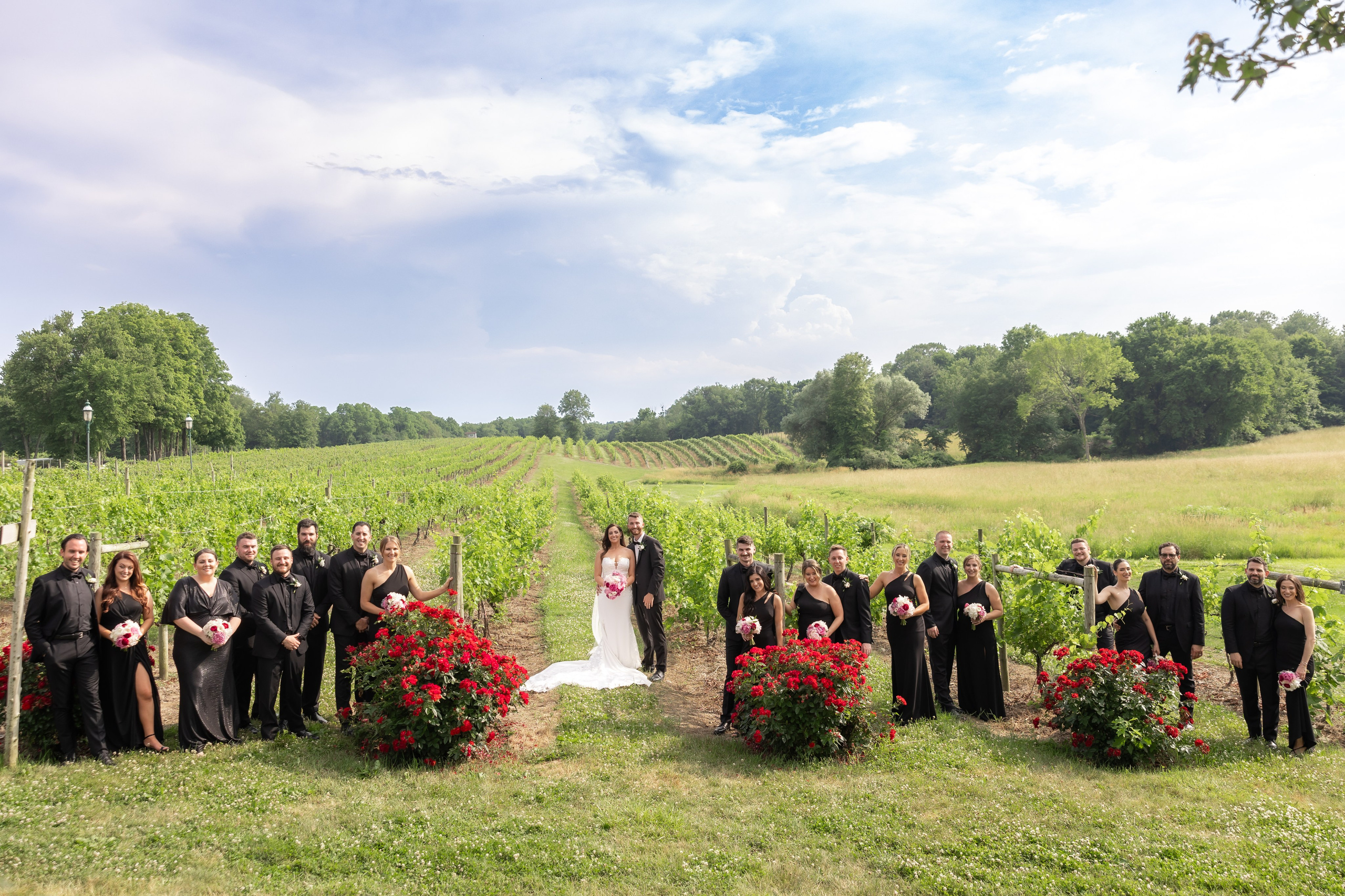 Angelica & Conor. Wedding Photo & Video