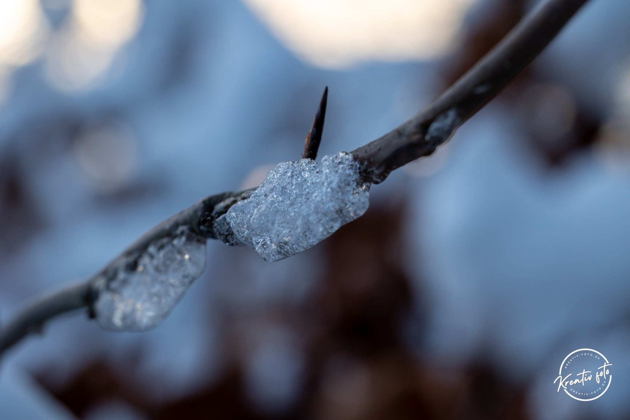 Vinter. Fotograf Aarhus | Portrætfoto Århus | Flotte billeder