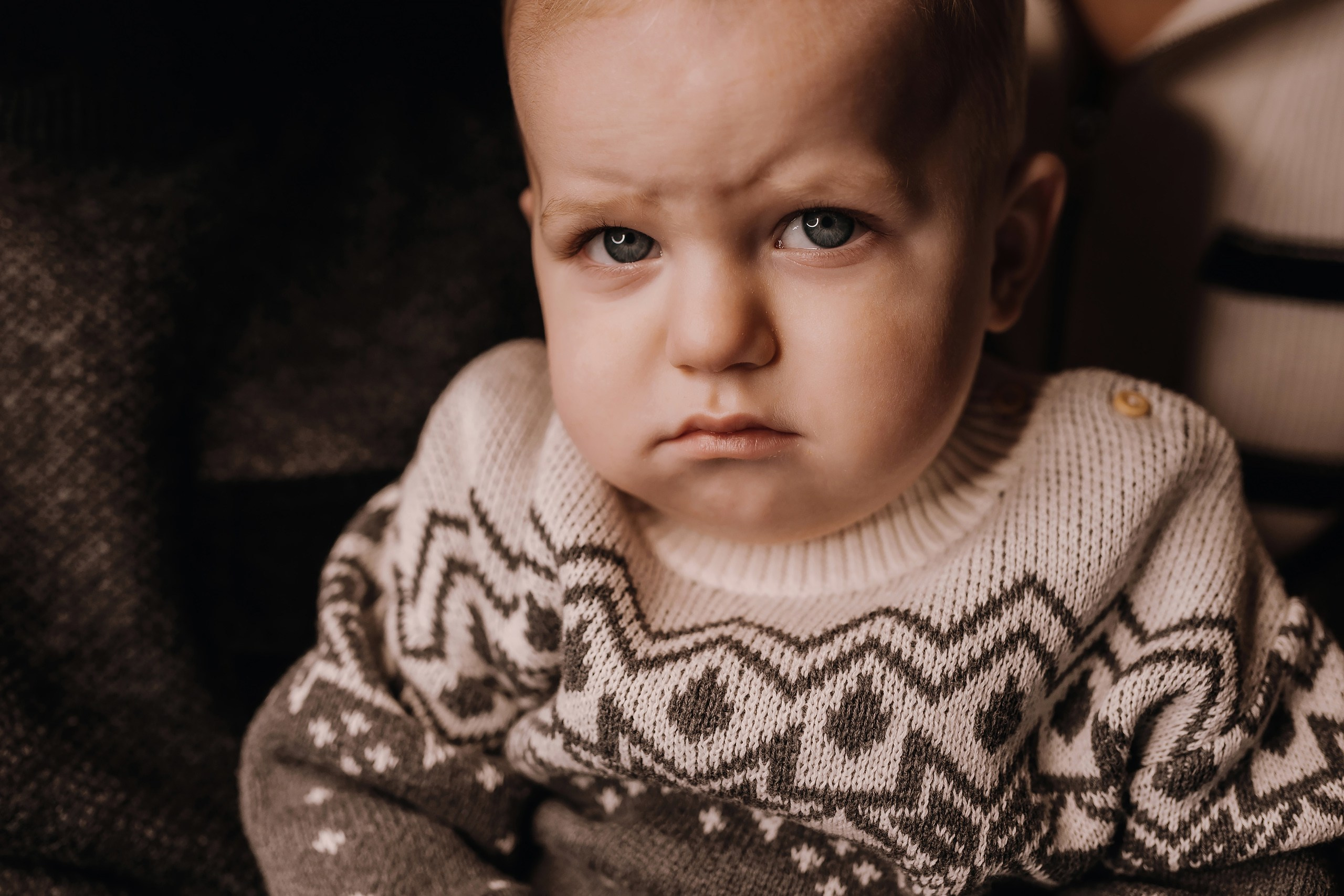 03.12.2023 Christmas Photoshoot. Wedding family event photographer in Chicago Nick Yushevich