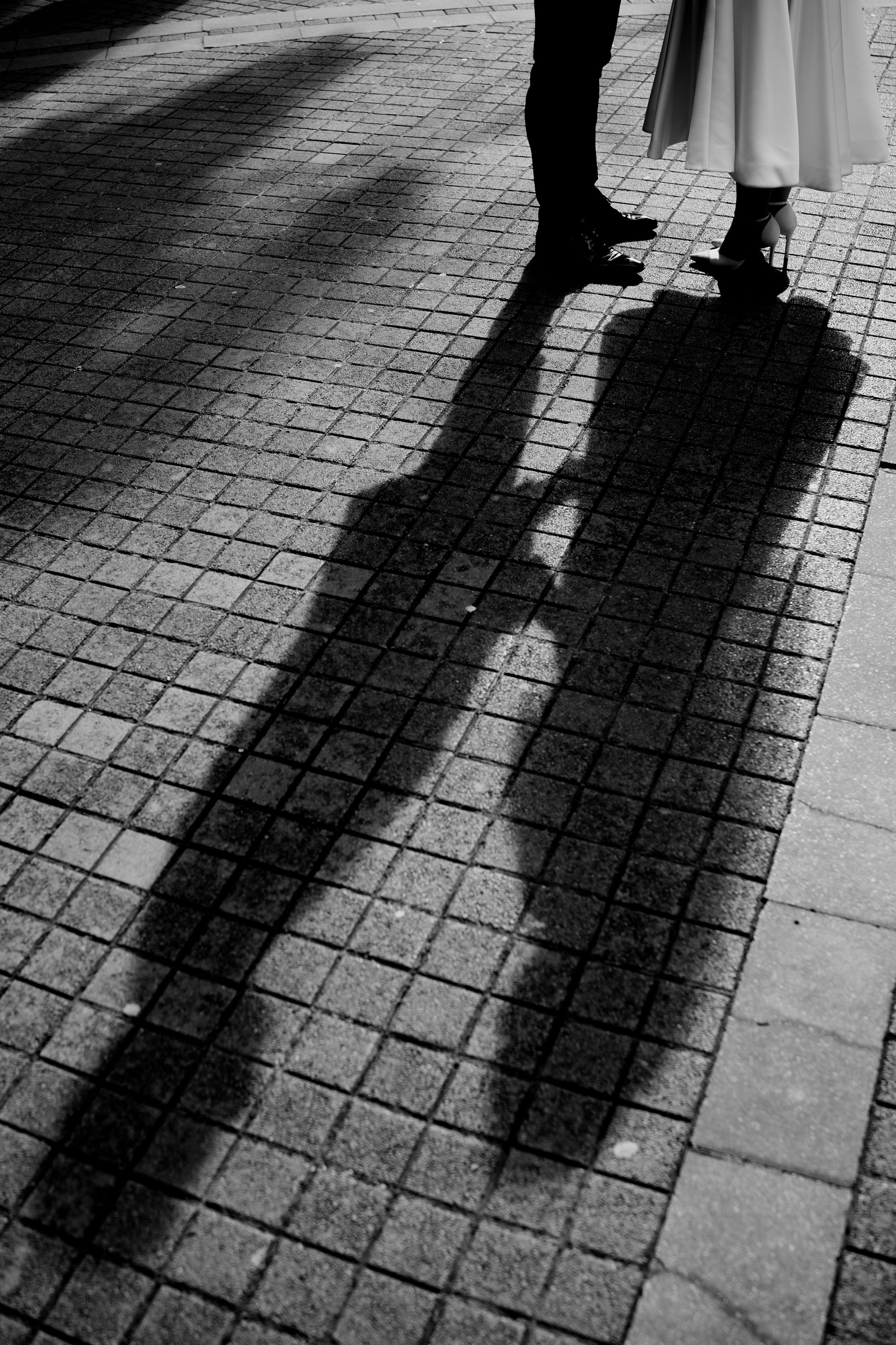 Stefan & Dorotea. NSJ — Wedding Studio