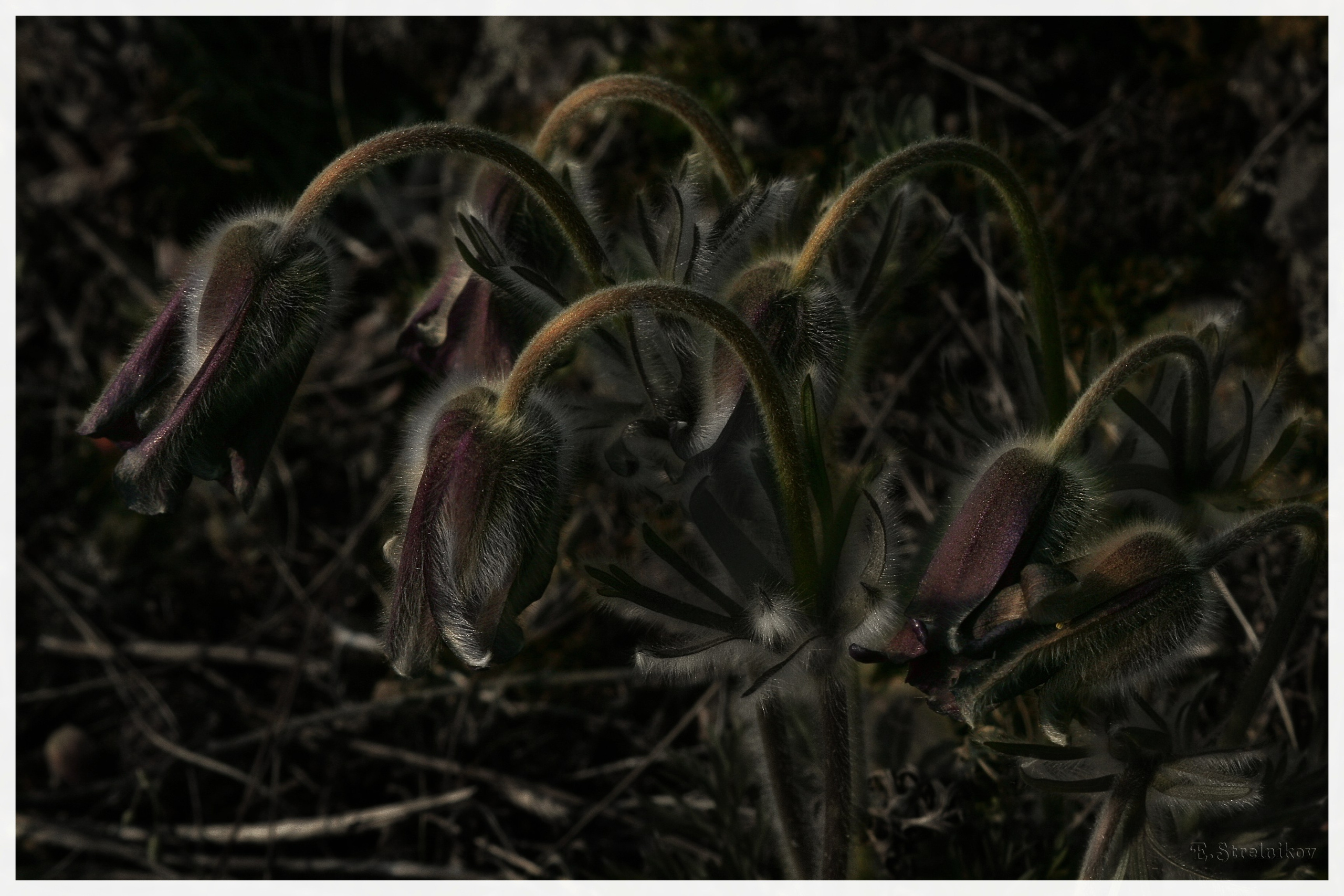 Природа Южноукраинск