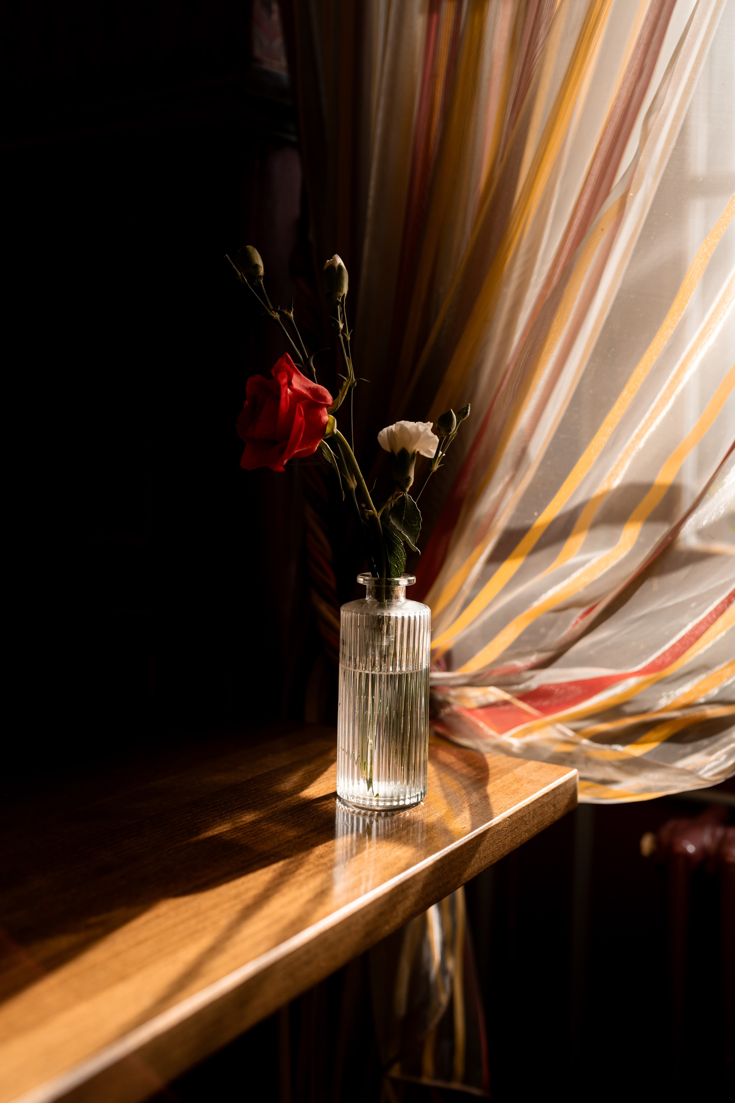 Petit mariage lausannois. Photographe à Genève - Eugenia Andres